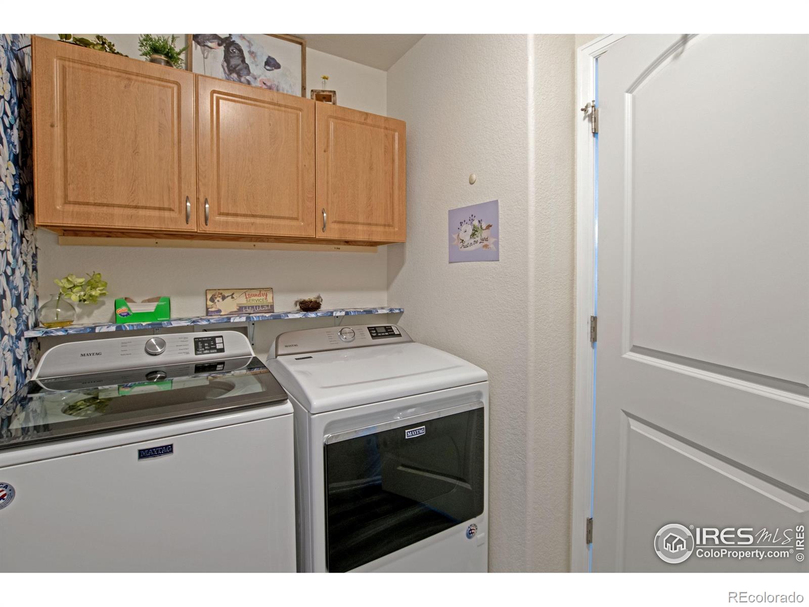 MLS Image #11 for 2641  emerald street,loveland, Colorado