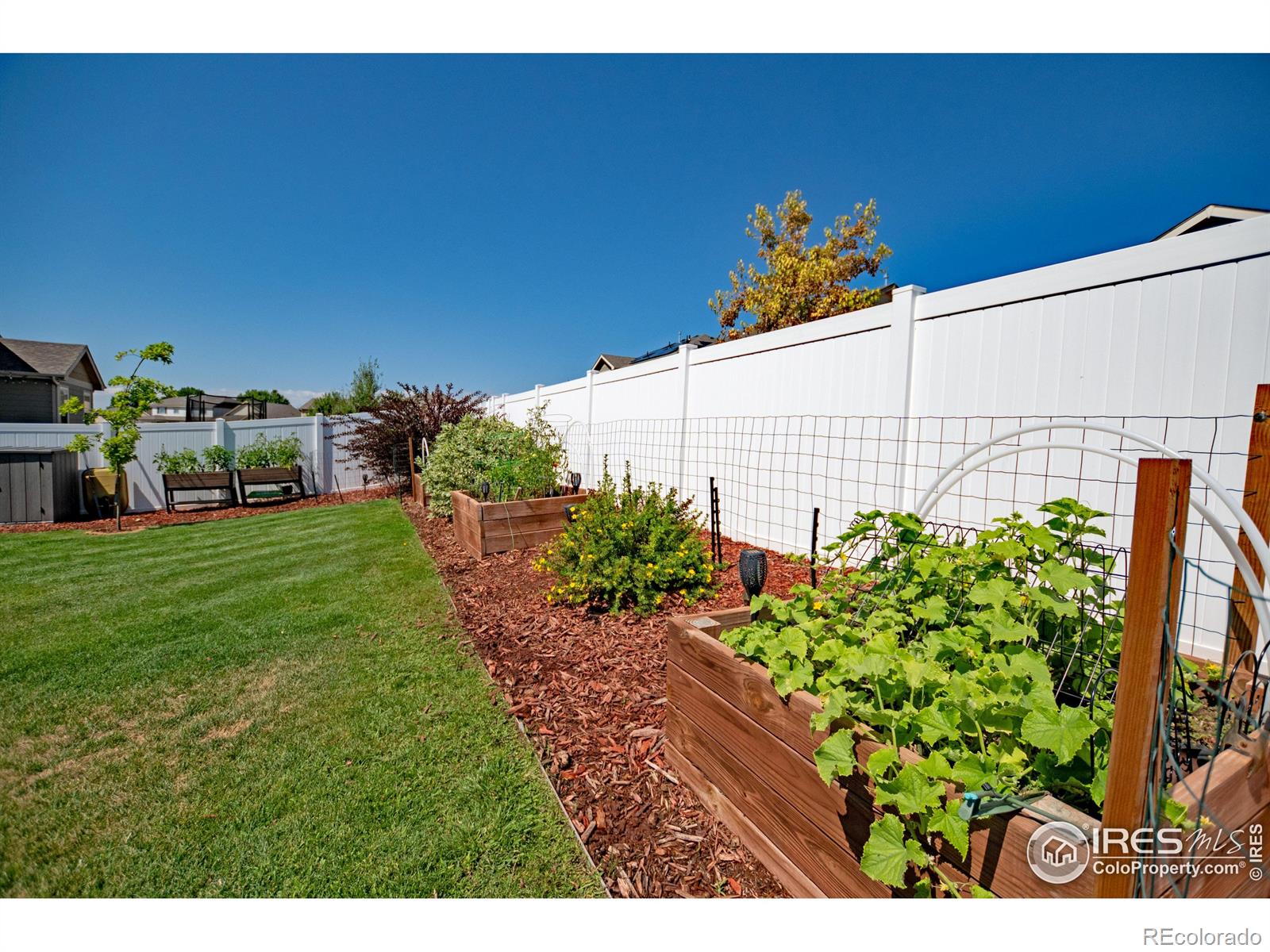 MLS Image #27 for 2641  emerald street,loveland, Colorado