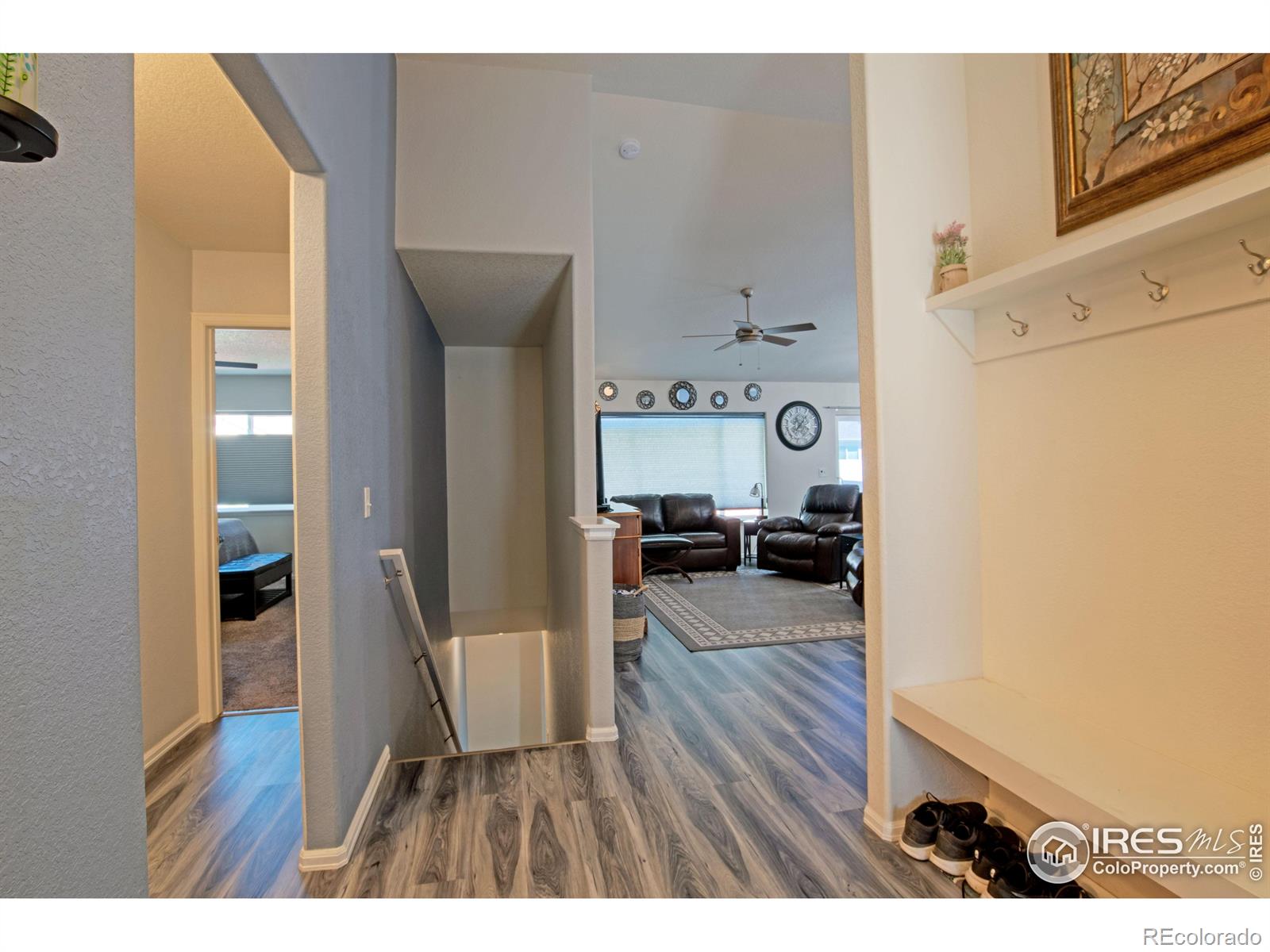 MLS Image #3 for 2641  emerald street,loveland, Colorado