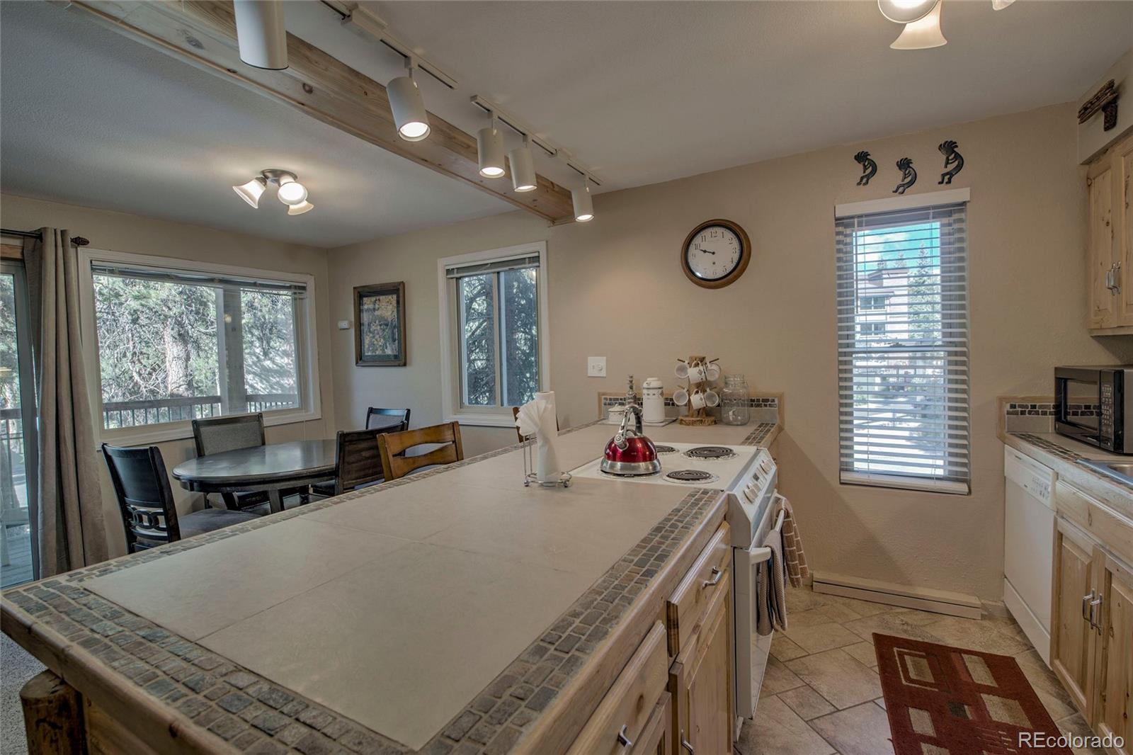MLS Image #15 for 760  columbine road a7,breckenridge, Colorado