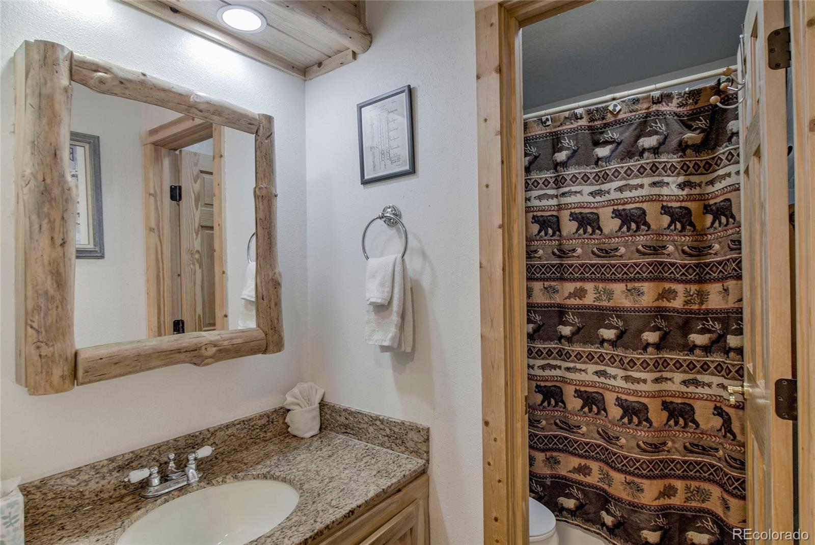 MLS Image #20 for 760  columbine road a7,breckenridge, Colorado