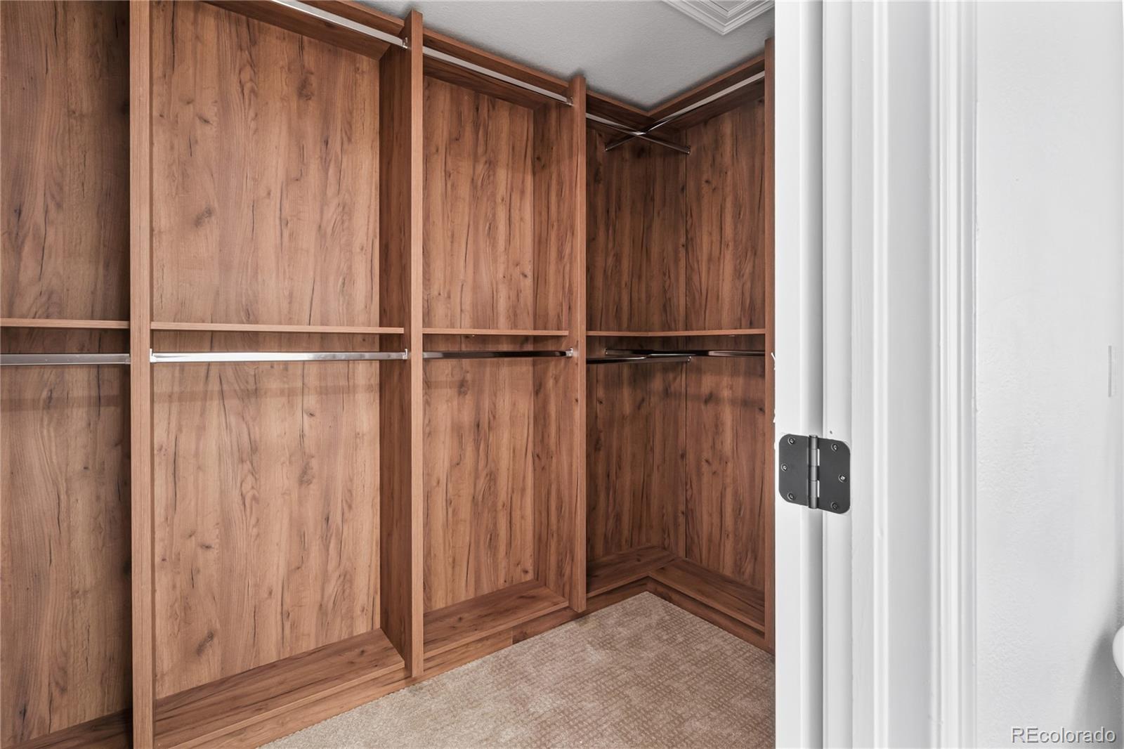 MLS Image #27 for 5569  willow springs drive,morrison, Colorado