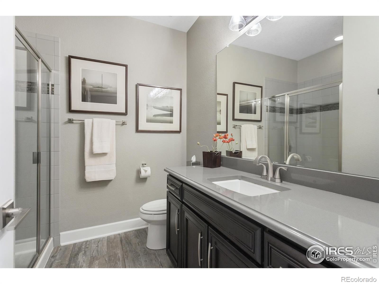 MLS Image #18 for 3692  deacon drive,mead, Colorado