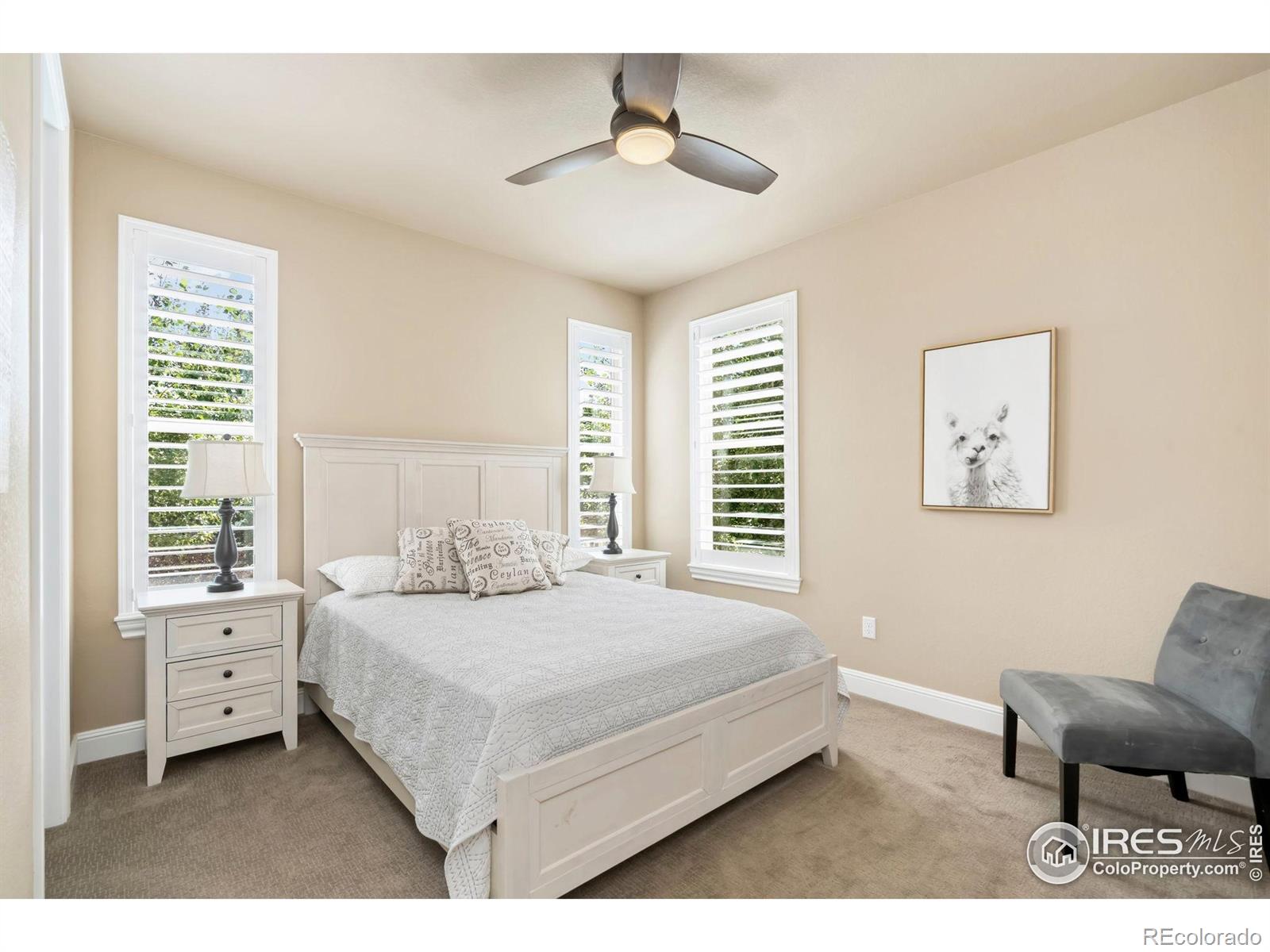 MLS Image #18 for 6309  meadow grass court,fort collins, Colorado