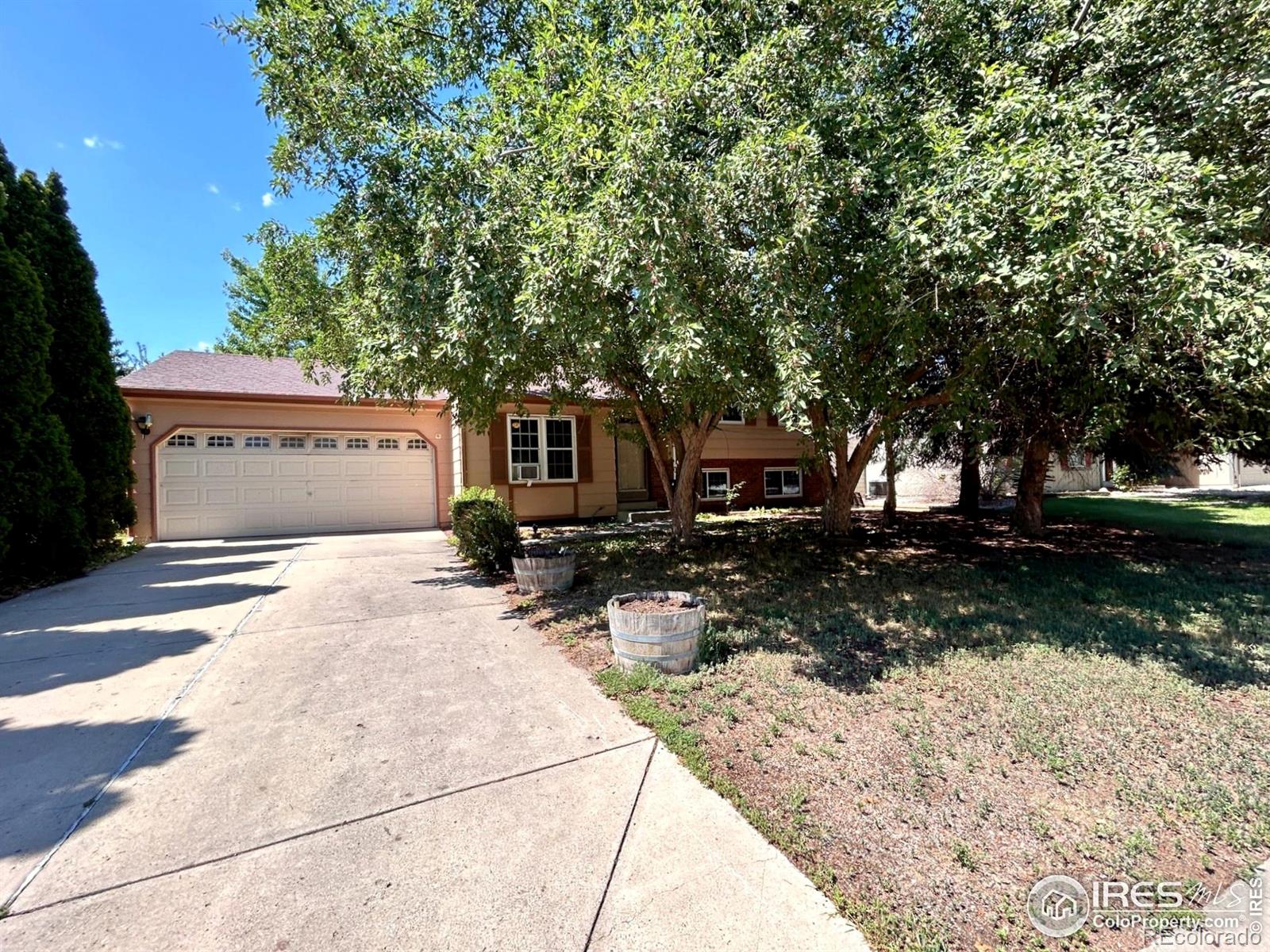 MLS Image #0 for 4009  davidia court,loveland, Colorado