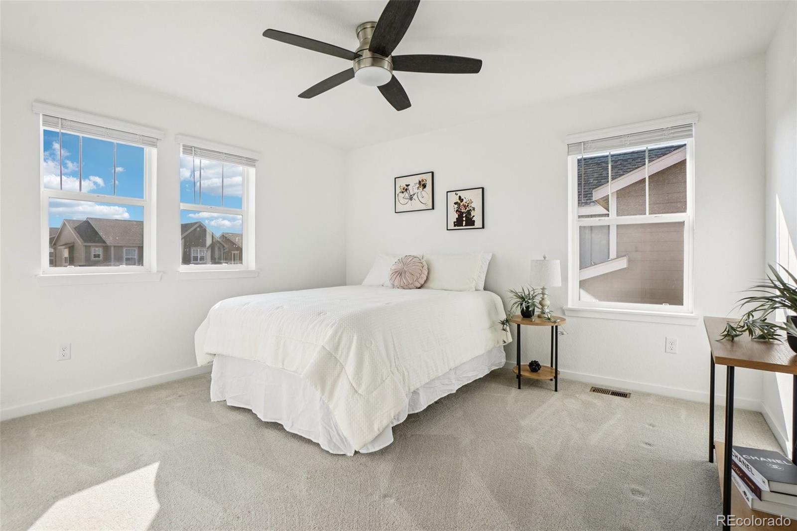 MLS Image #23 for 13221 e 110th place,commerce city, Colorado