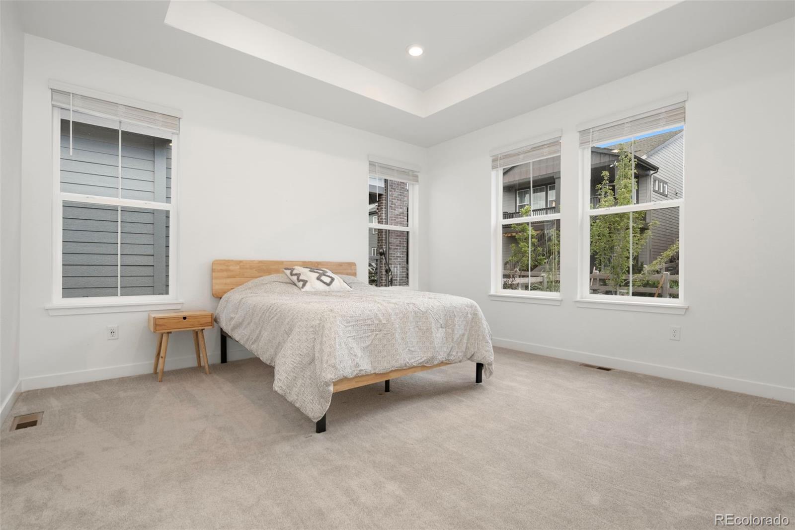 MLS Image #14 for 8187  mount kataka street,littleton, Colorado