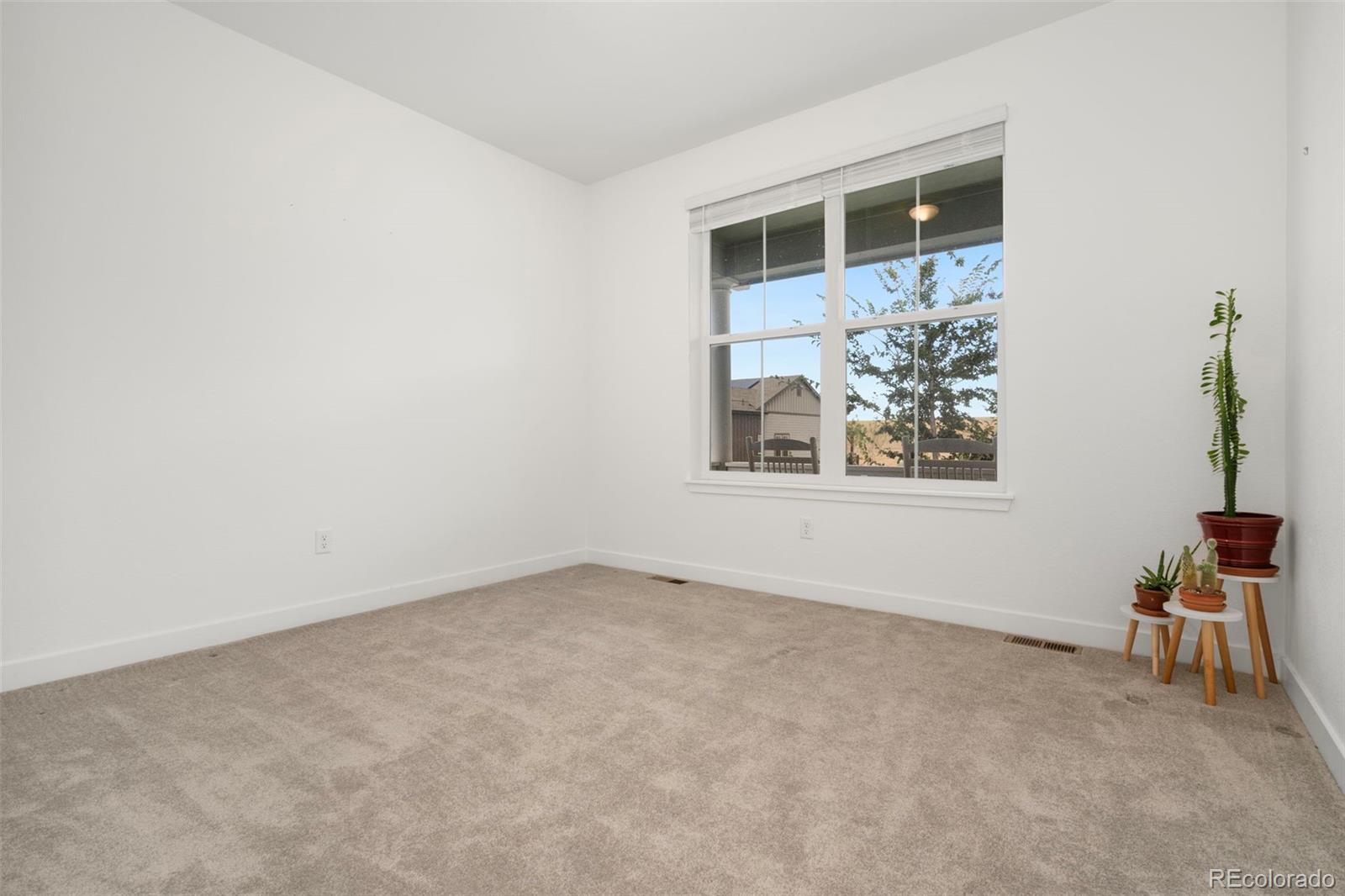 MLS Image #20 for 8187  mount kataka street,littleton, Colorado