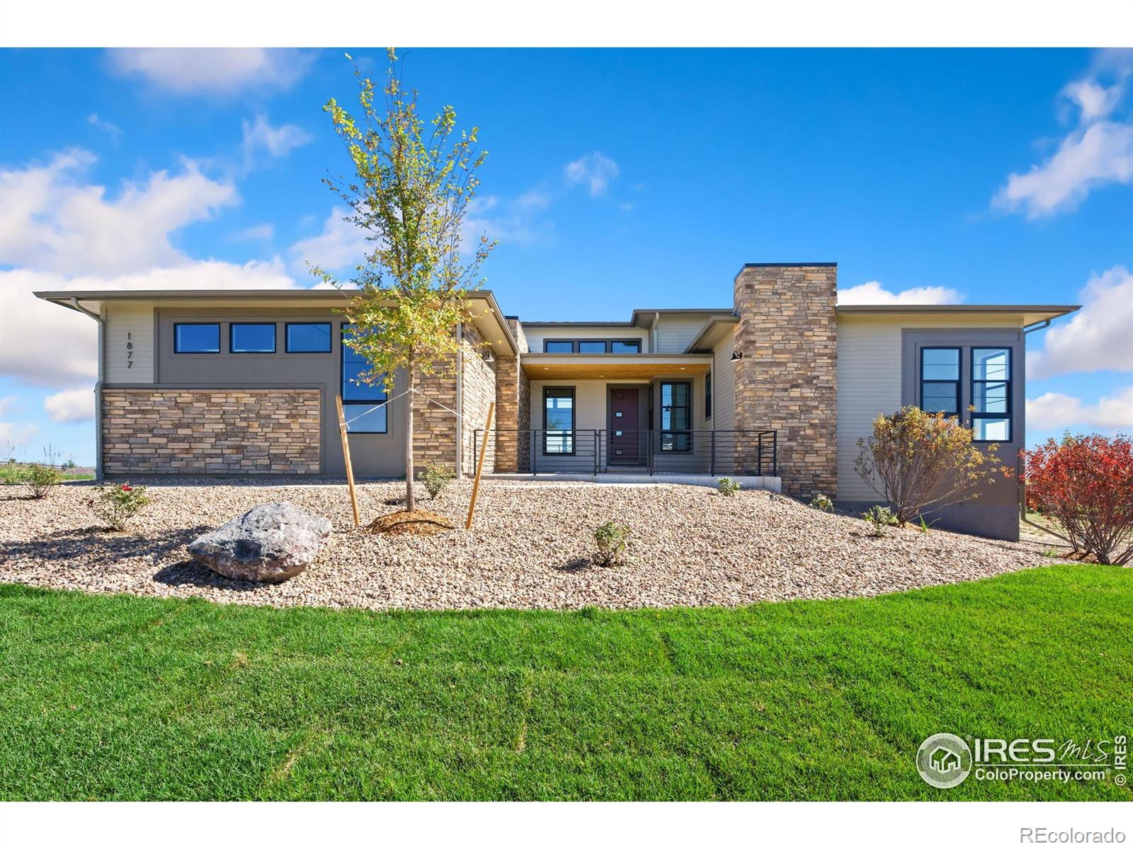 MLS Image #2 for 1877  spring bloom drive,windsor, Colorado