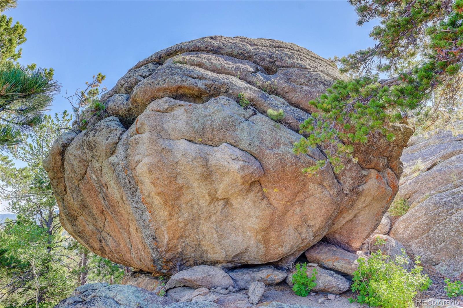 MLS Image #6 for 31911  warrens road,golden, Colorado