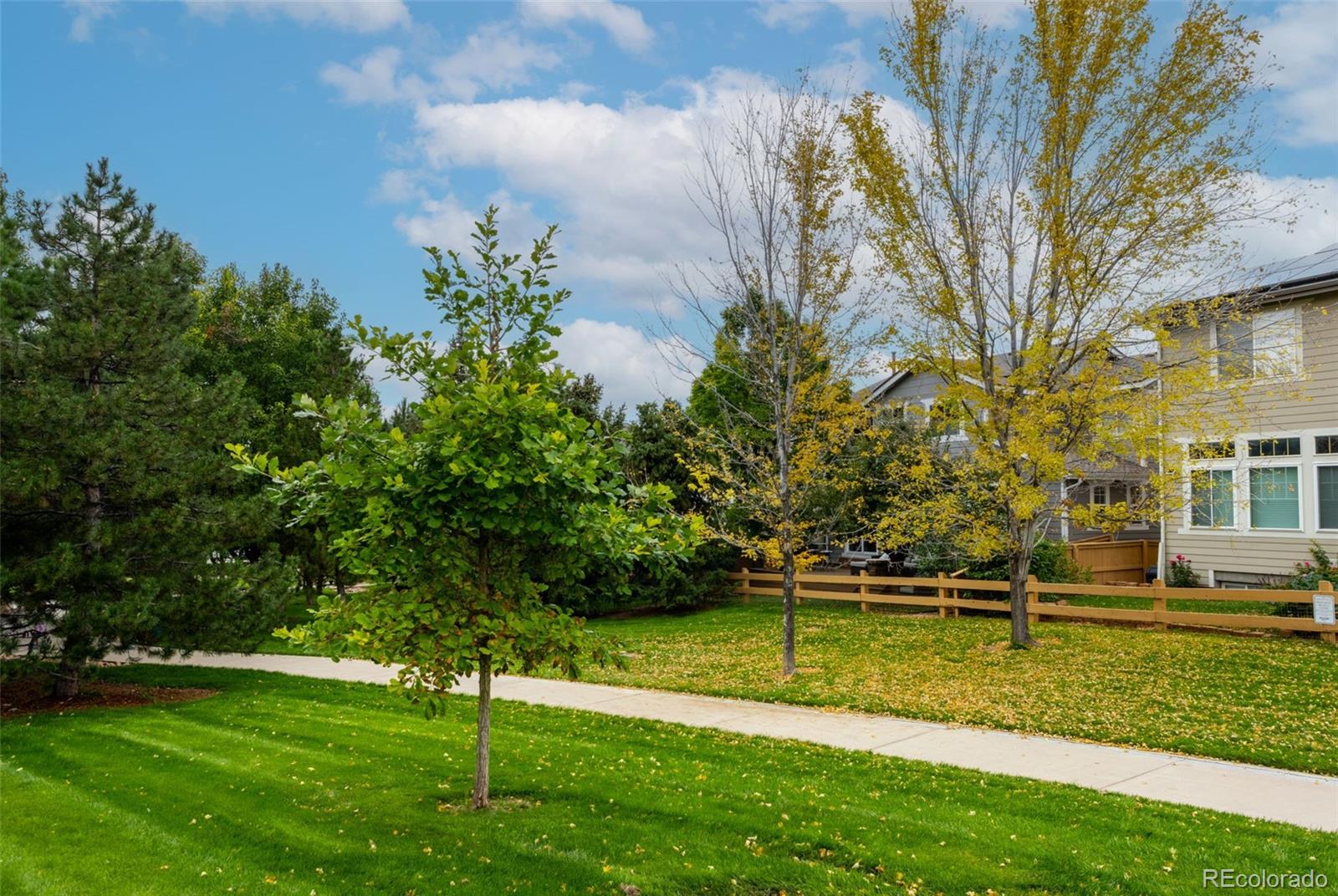 MLS Image #8 for 10704  riverbrook circle,highlands ranch, Colorado