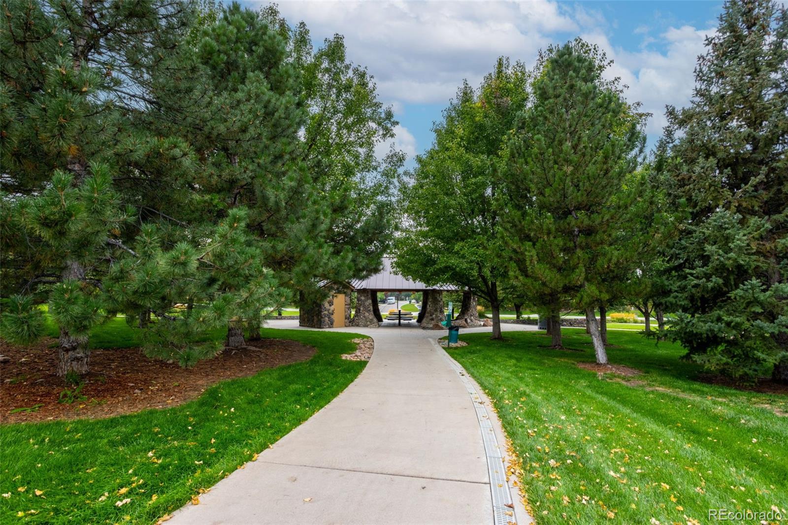 MLS Image #9 for 10704  riverbrook circle,highlands ranch, Colorado