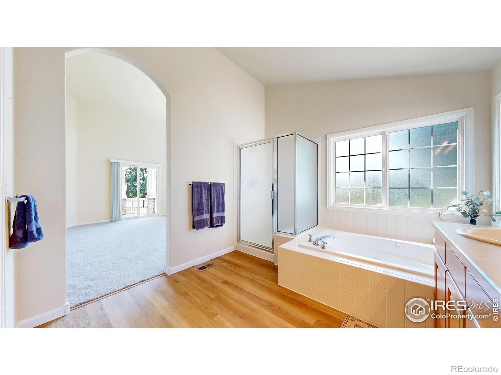 MLS Image #19 for 7747  promontory drive,windsor, Colorado