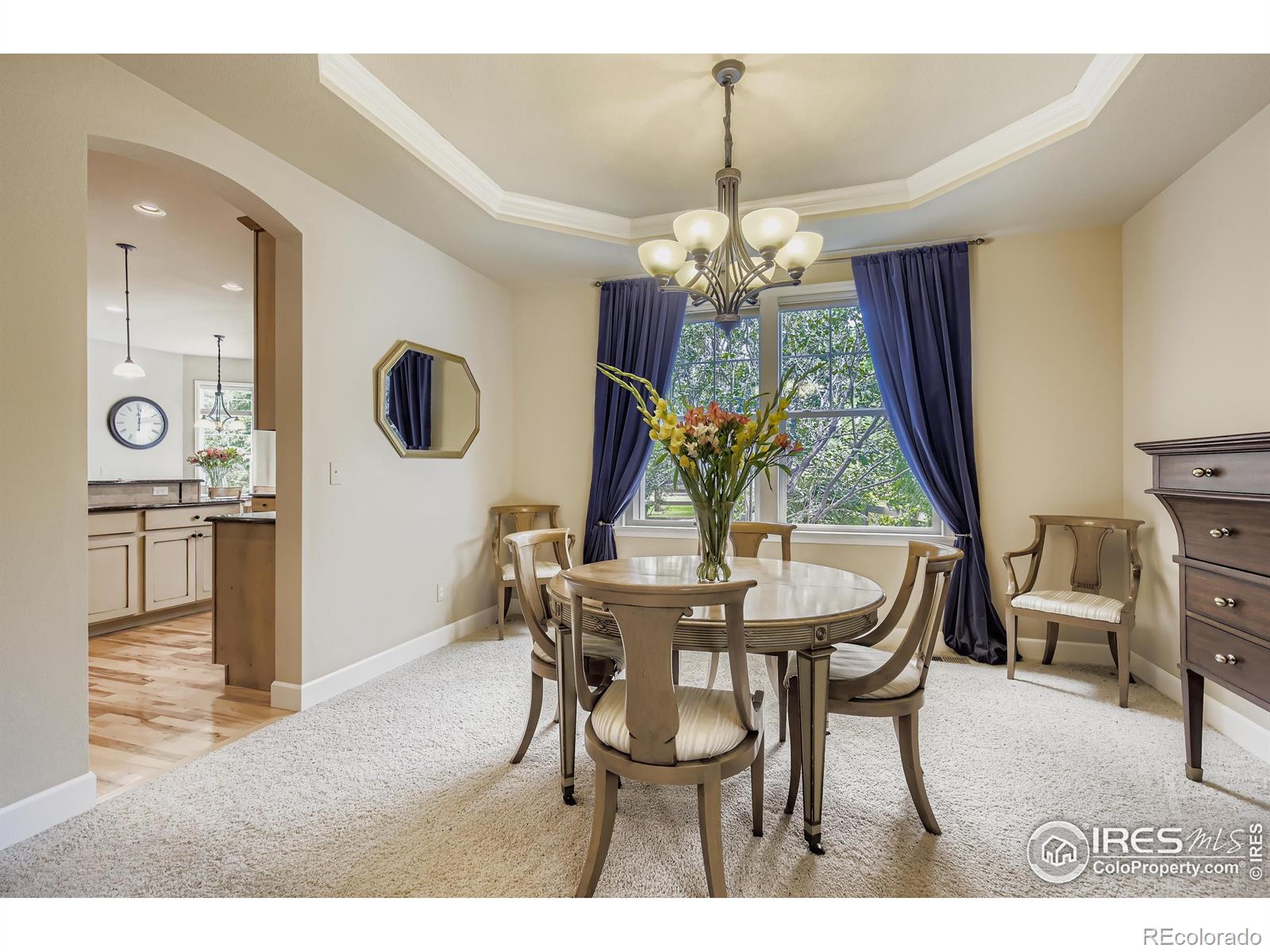 MLS Image #11 for 3247  muskrat creek drive,fort collins, Colorado