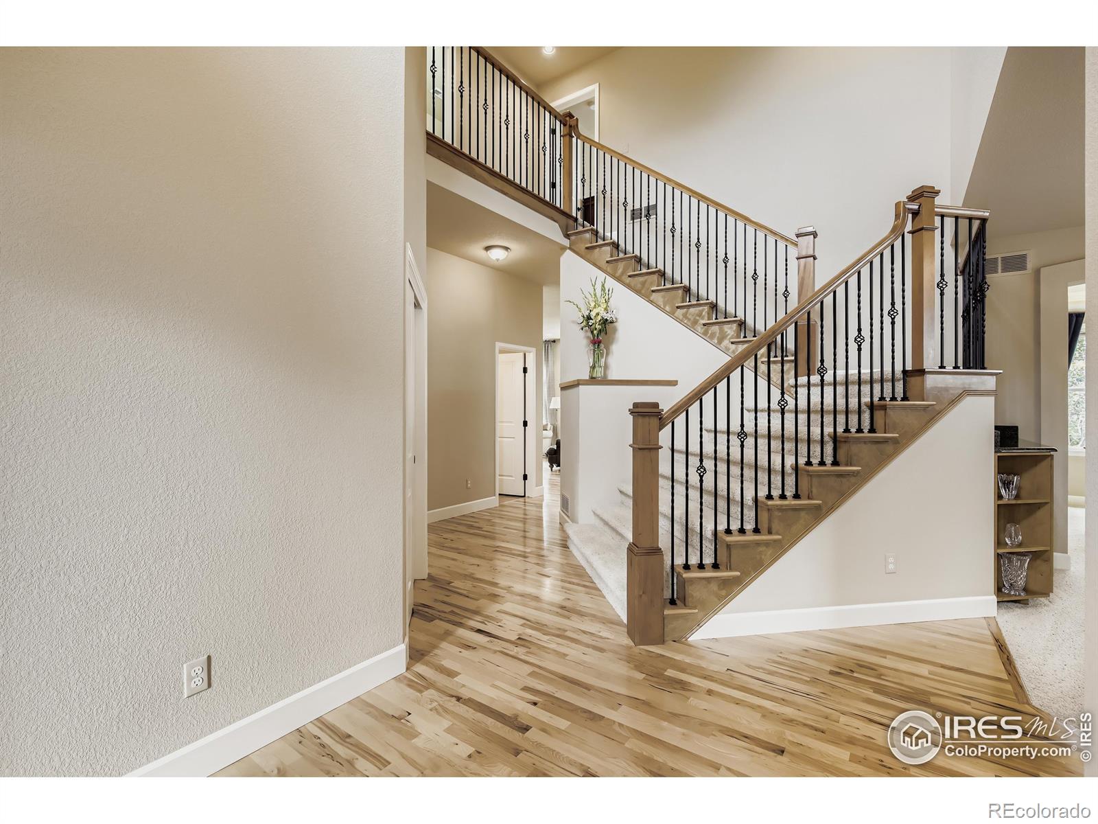 MLS Image #3 for 3247  muskrat creek drive,fort collins, Colorado