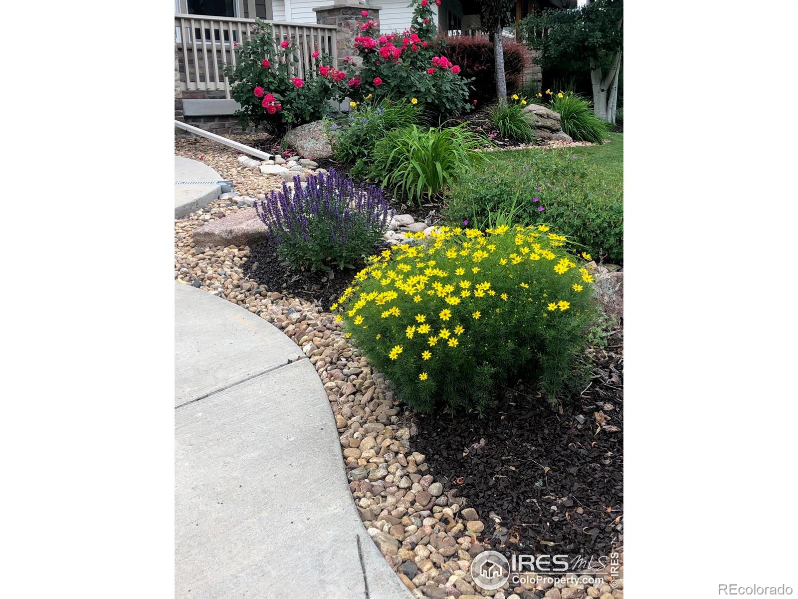 MLS Image #35 for 3247  muskrat creek drive,fort collins, Colorado
