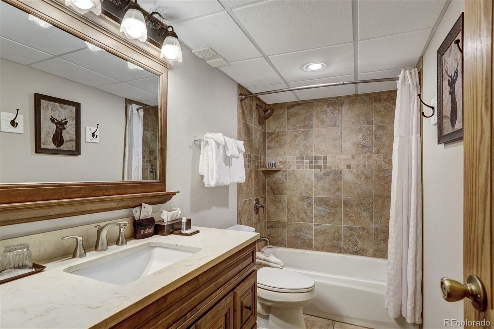 MLS Image #15 for 601  village road 503,breckenridge, Colorado