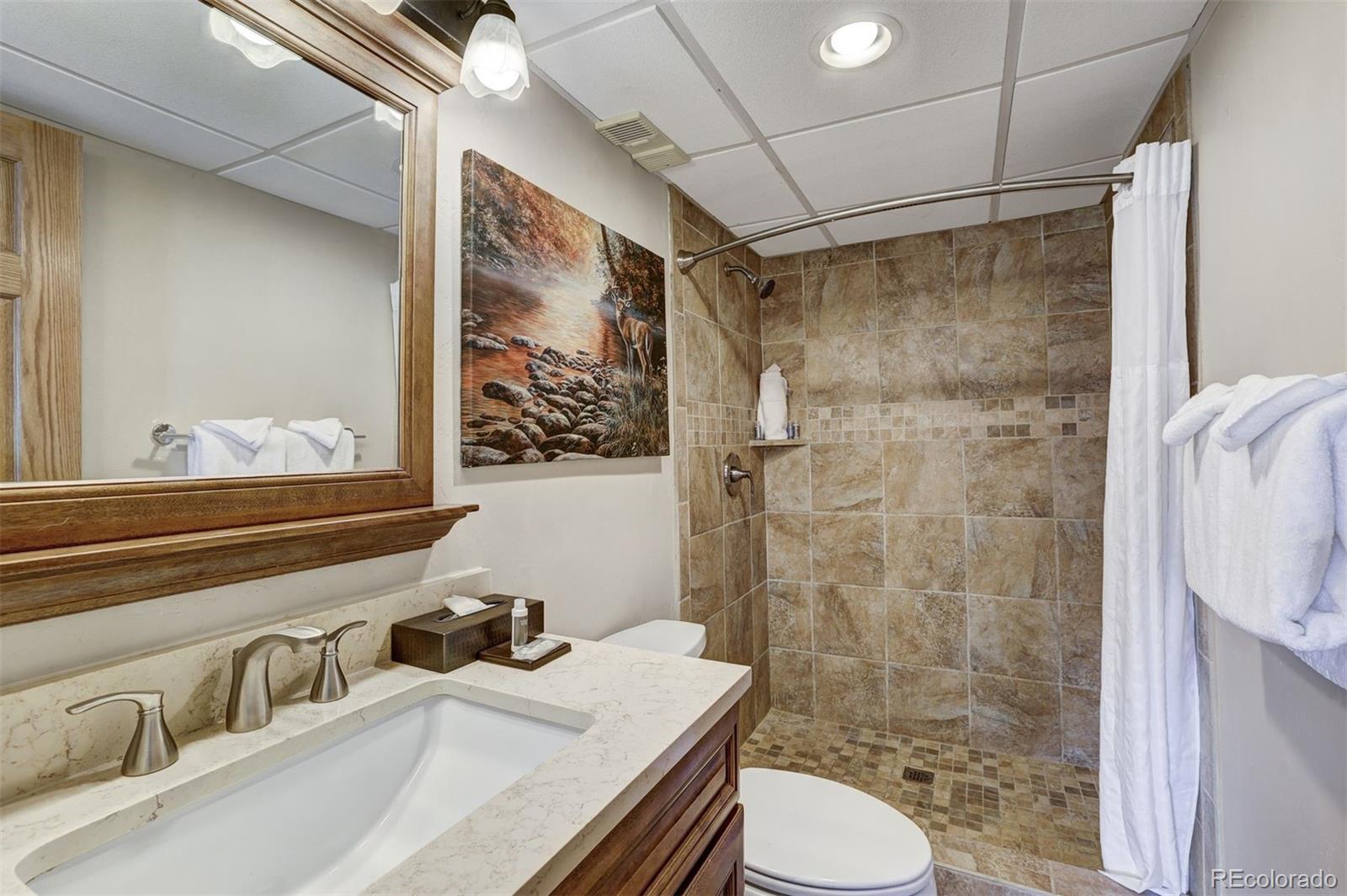 MLS Image #22 for 601  village road 503,breckenridge, Colorado