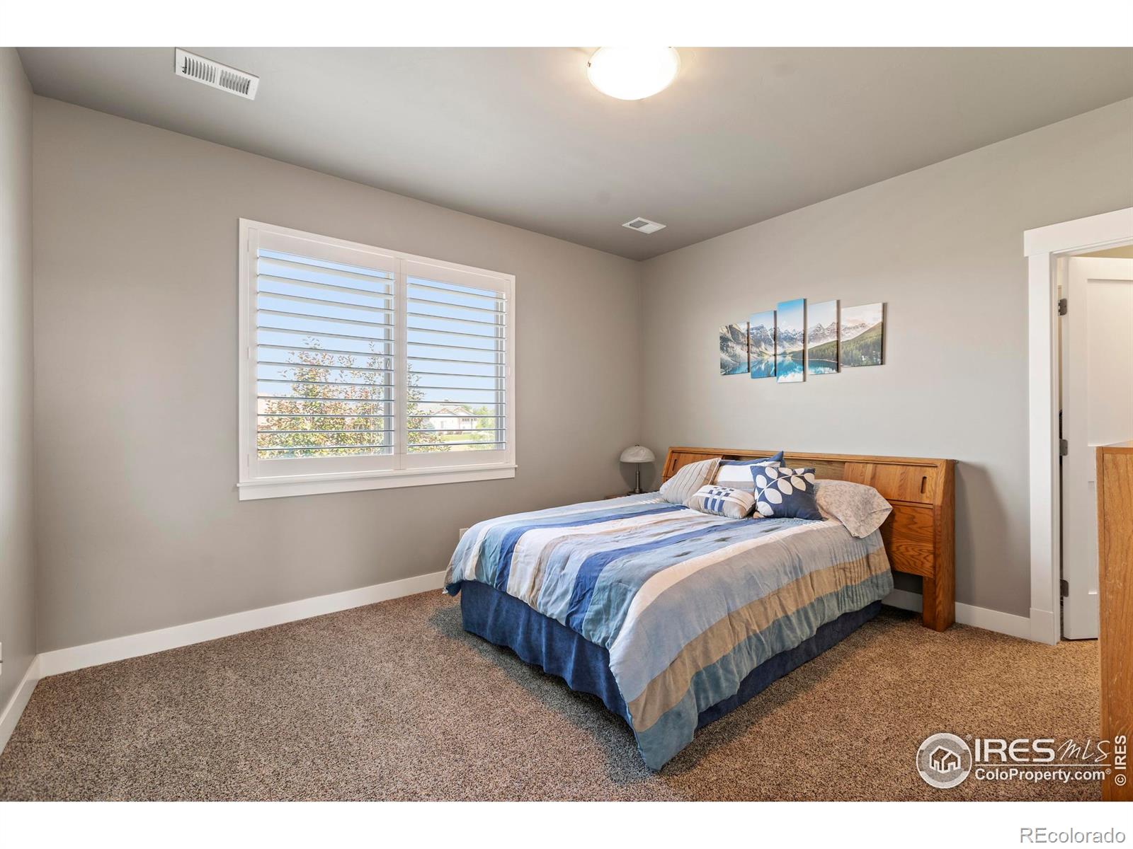 MLS Image #21 for 5830  last pointe drive,windsor, Colorado