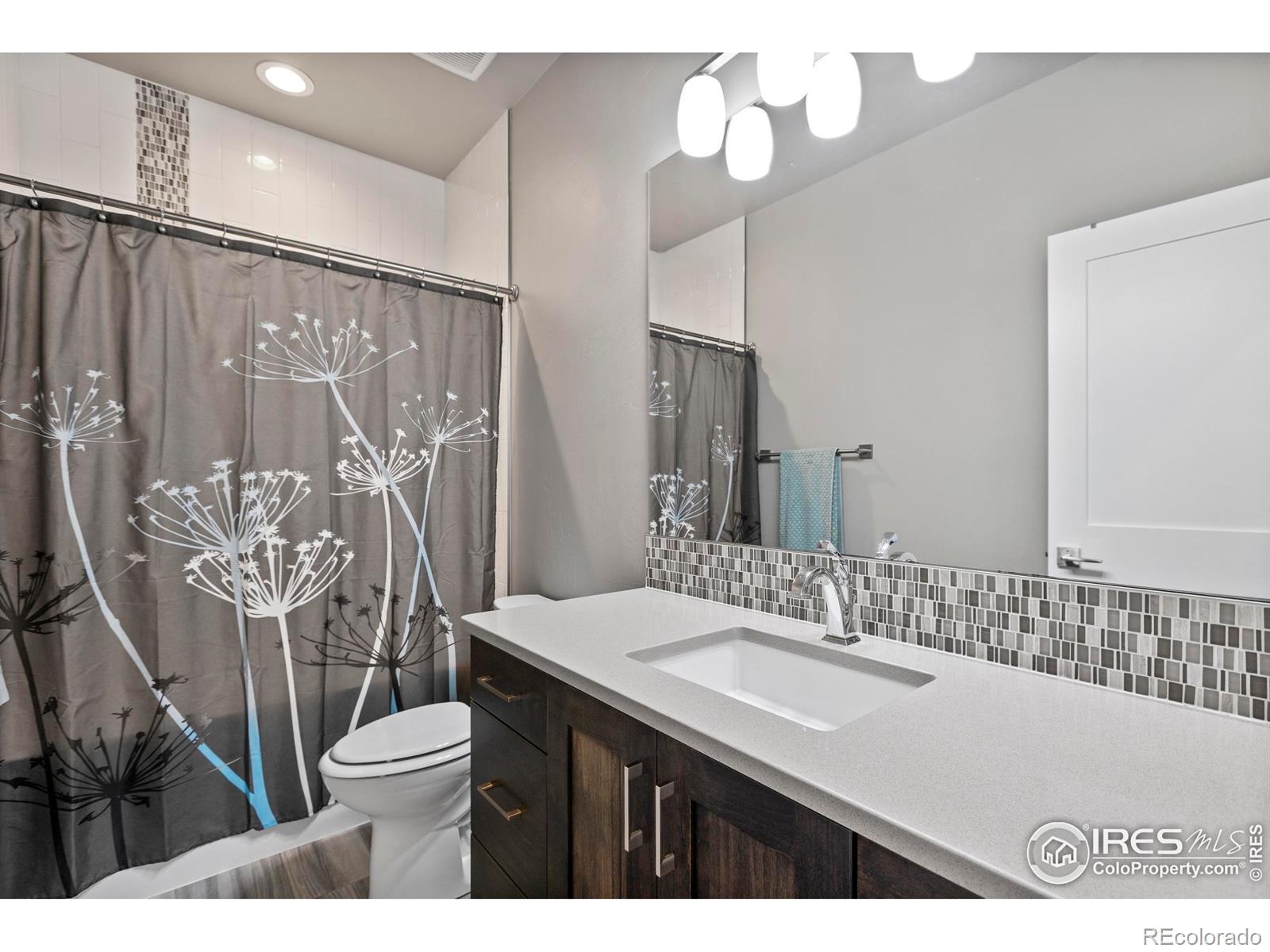 MLS Image #24 for 5830  last pointe drive,windsor, Colorado
