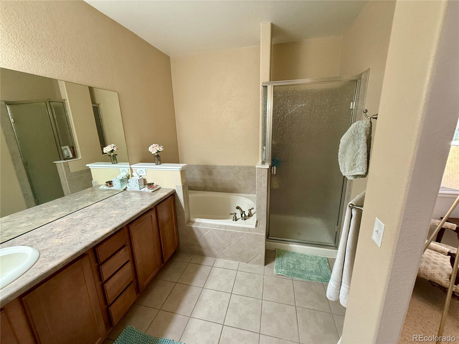 MLS Image #10 for 5071  diamond sky road,castle rock, Colorado