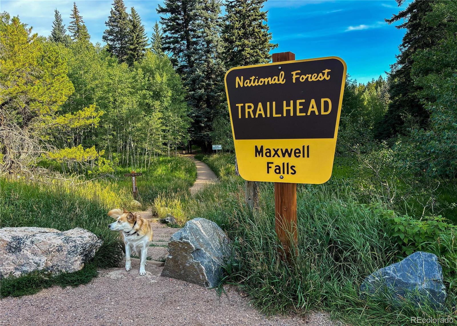MLS Image #40 for 32670  aspen meadow drive,evergreen, Colorado