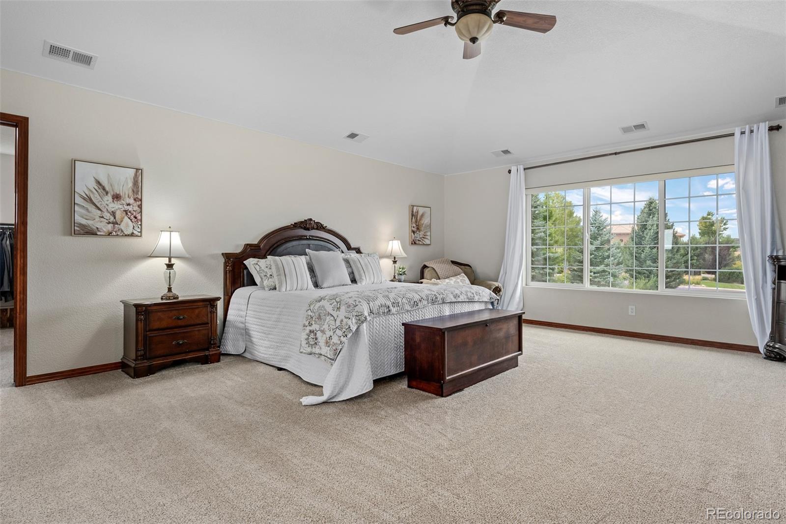 MLS Image #18 for 5672  vistancia court,parker, Colorado
