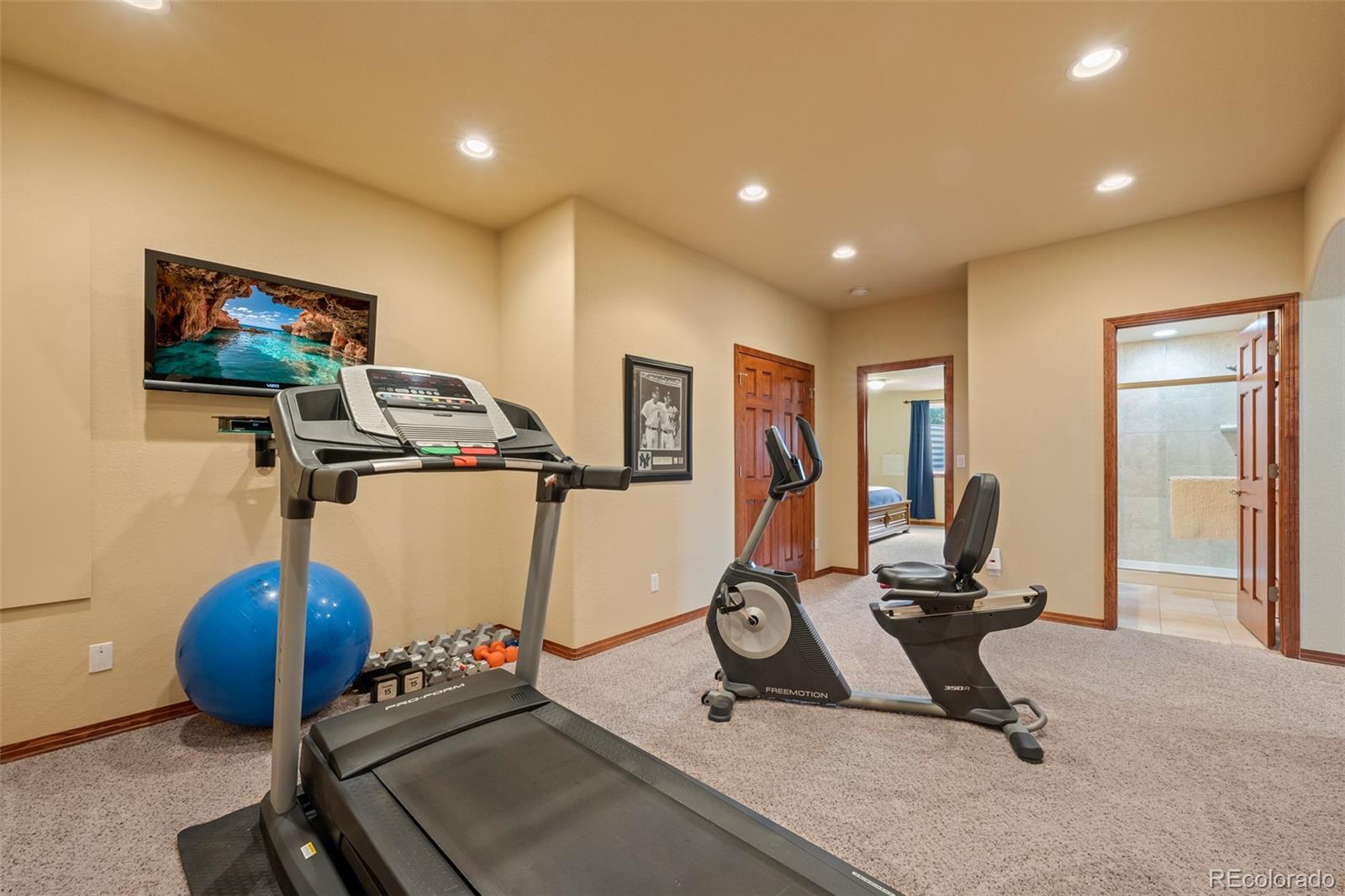 MLS Image #40 for 5672  vistancia court,parker, Colorado