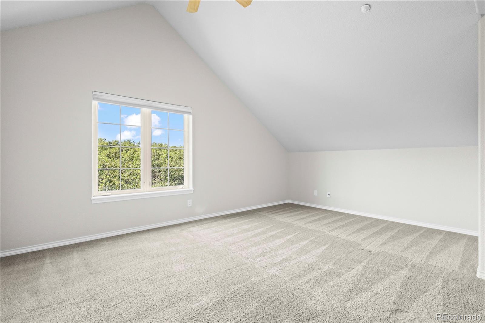 MLS Image #26 for 3758  windchant circle,castle rock, Colorado