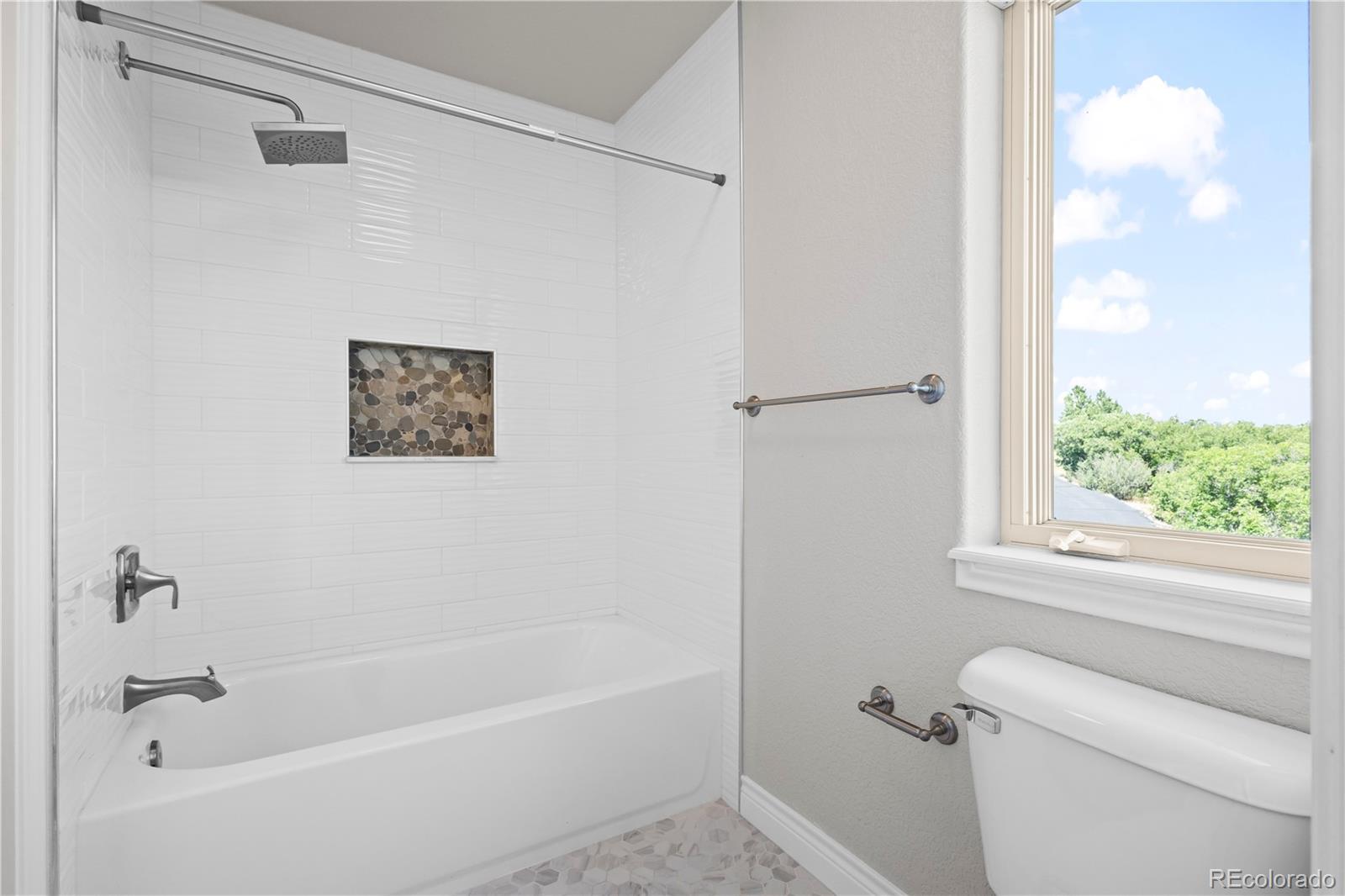 MLS Image #31 for 3758  windchant circle,castle rock, Colorado