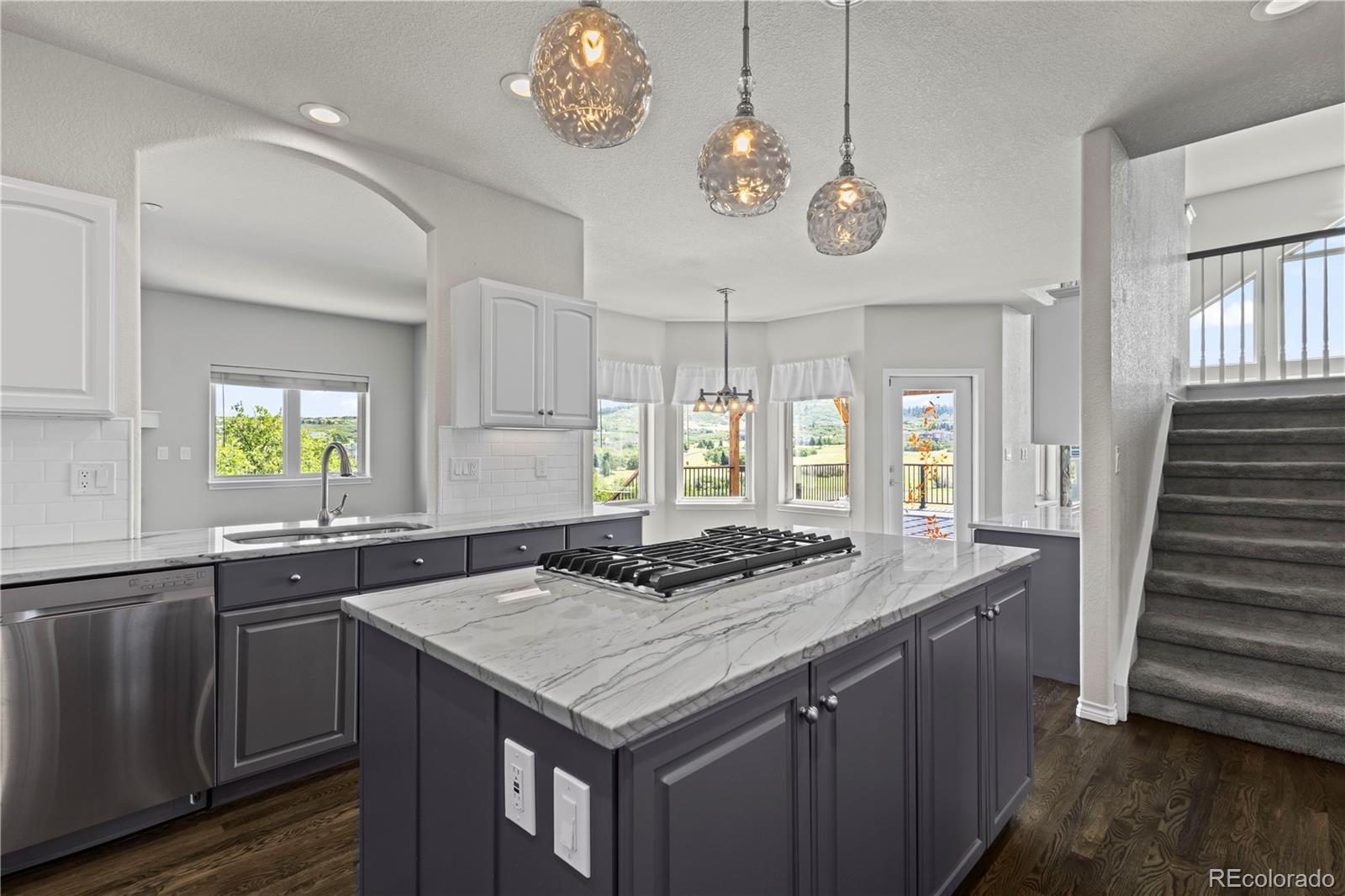 MLS Image #9 for 3758  windchant circle,castle rock, Colorado