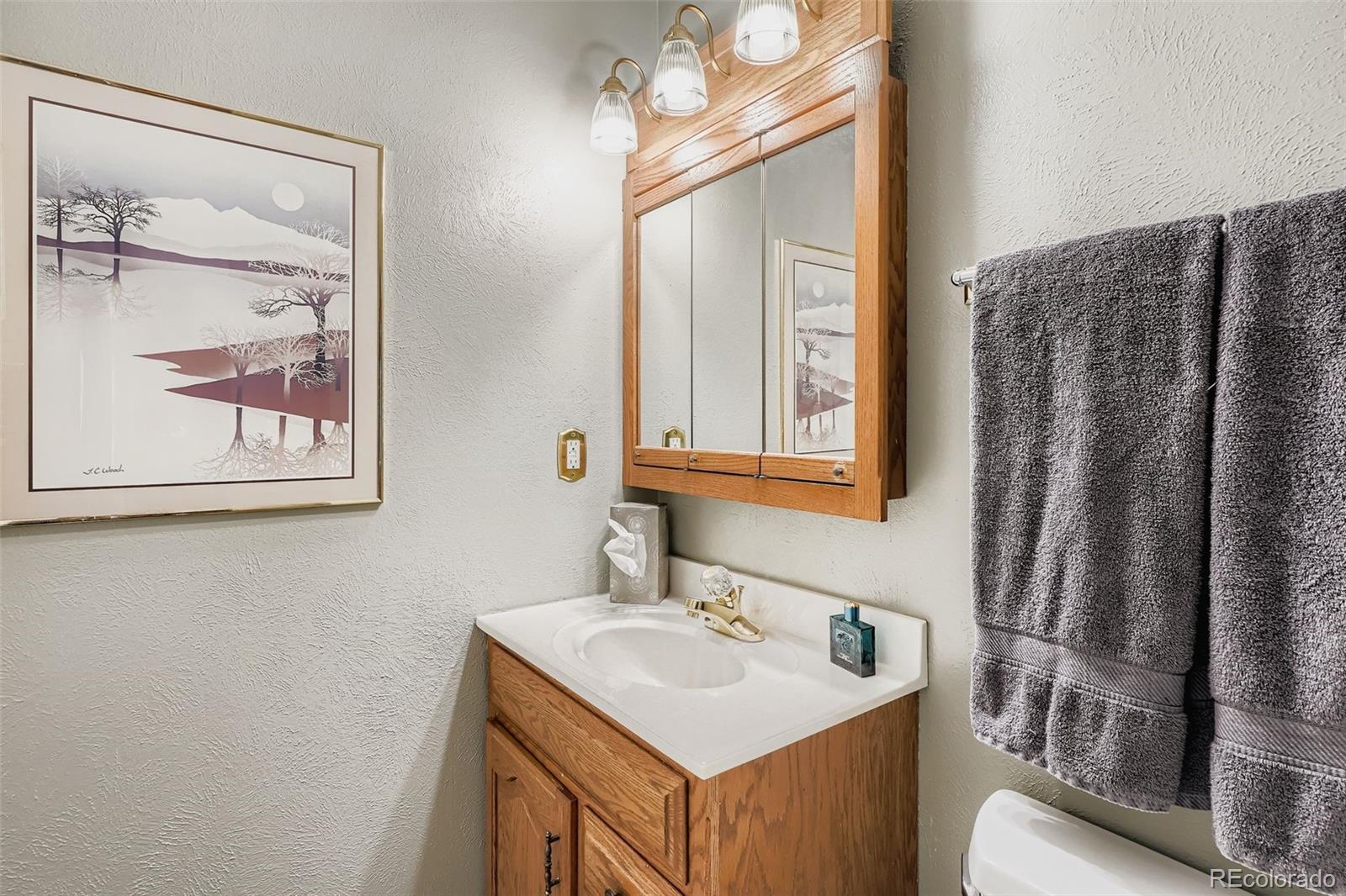 MLS Image #12 for 14501 e gunnison place,aurora, Colorado