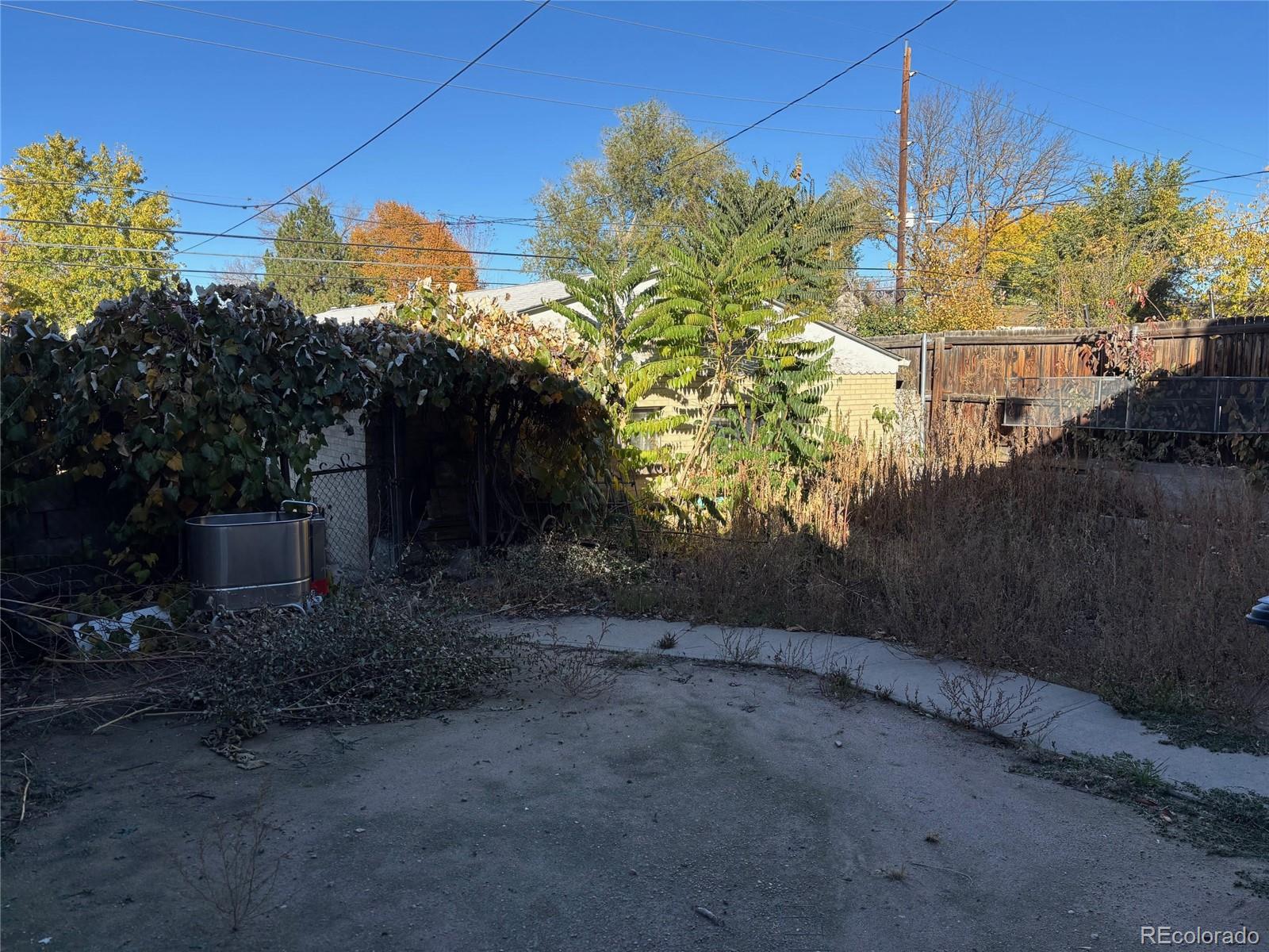 MLS Image #4 for 1127 s ogden street,denver, Colorado