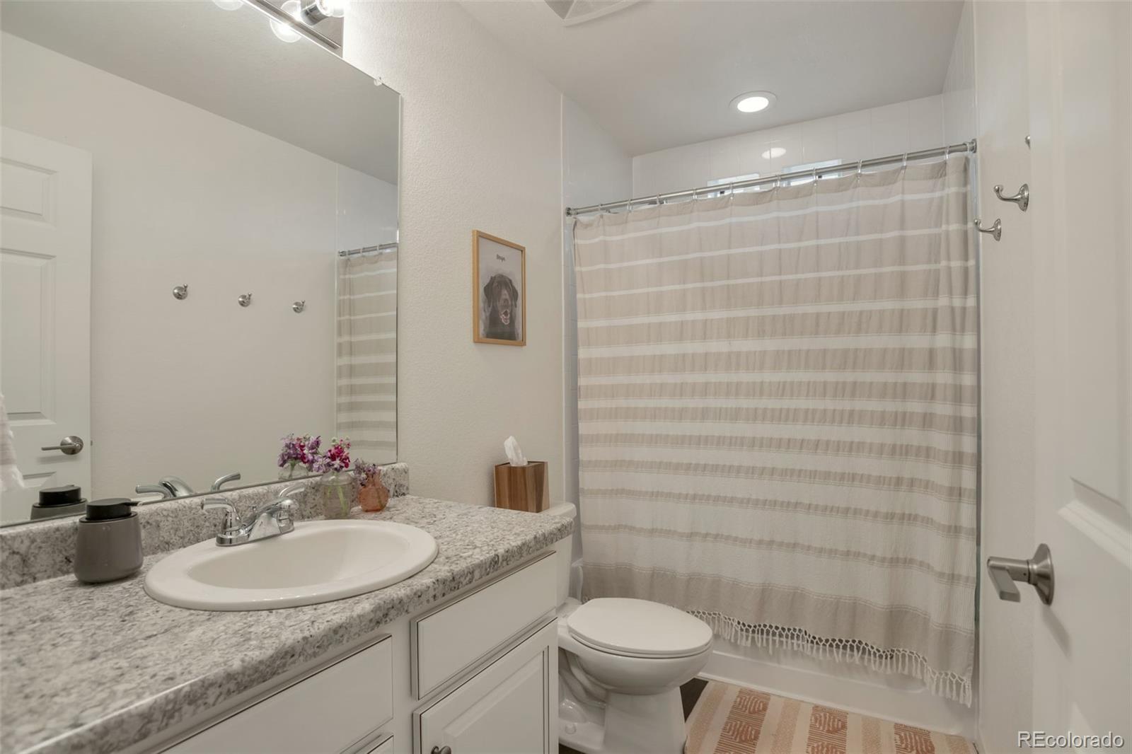 MLS Image #9 for 19165 e 55th avenue,denver, Colorado