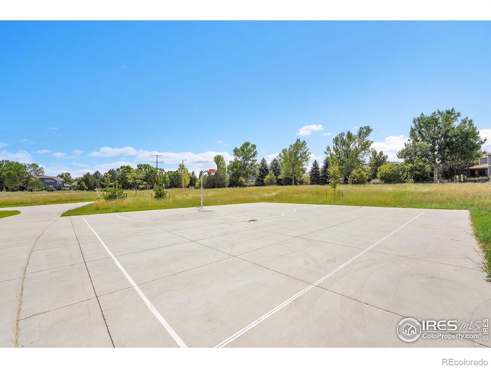 MLS Image #37 for 847  tanager circle,longmont, Colorado