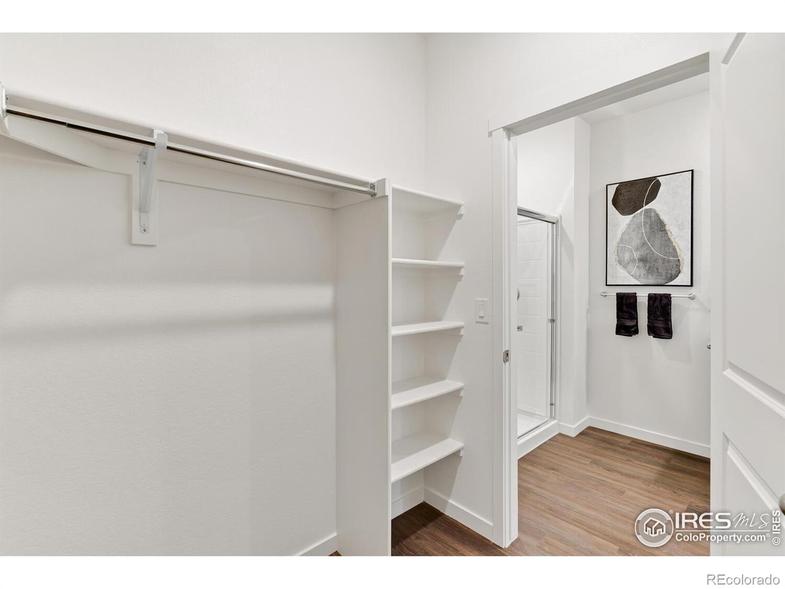 MLS Image #19 for 241  haymaker lane,severance, Colorado