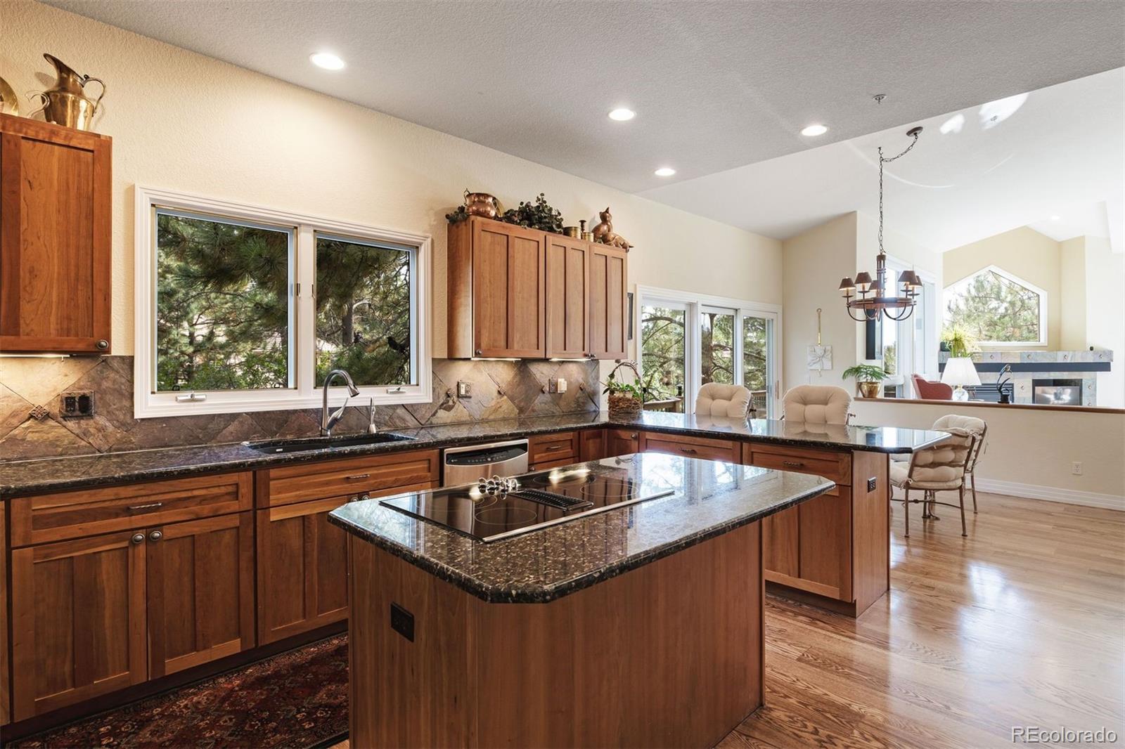 MLS Image #12 for 867  homestake court,castle rock, Colorado