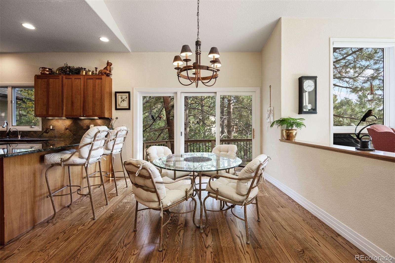 MLS Image #14 for 867  homestake court,castle rock, Colorado