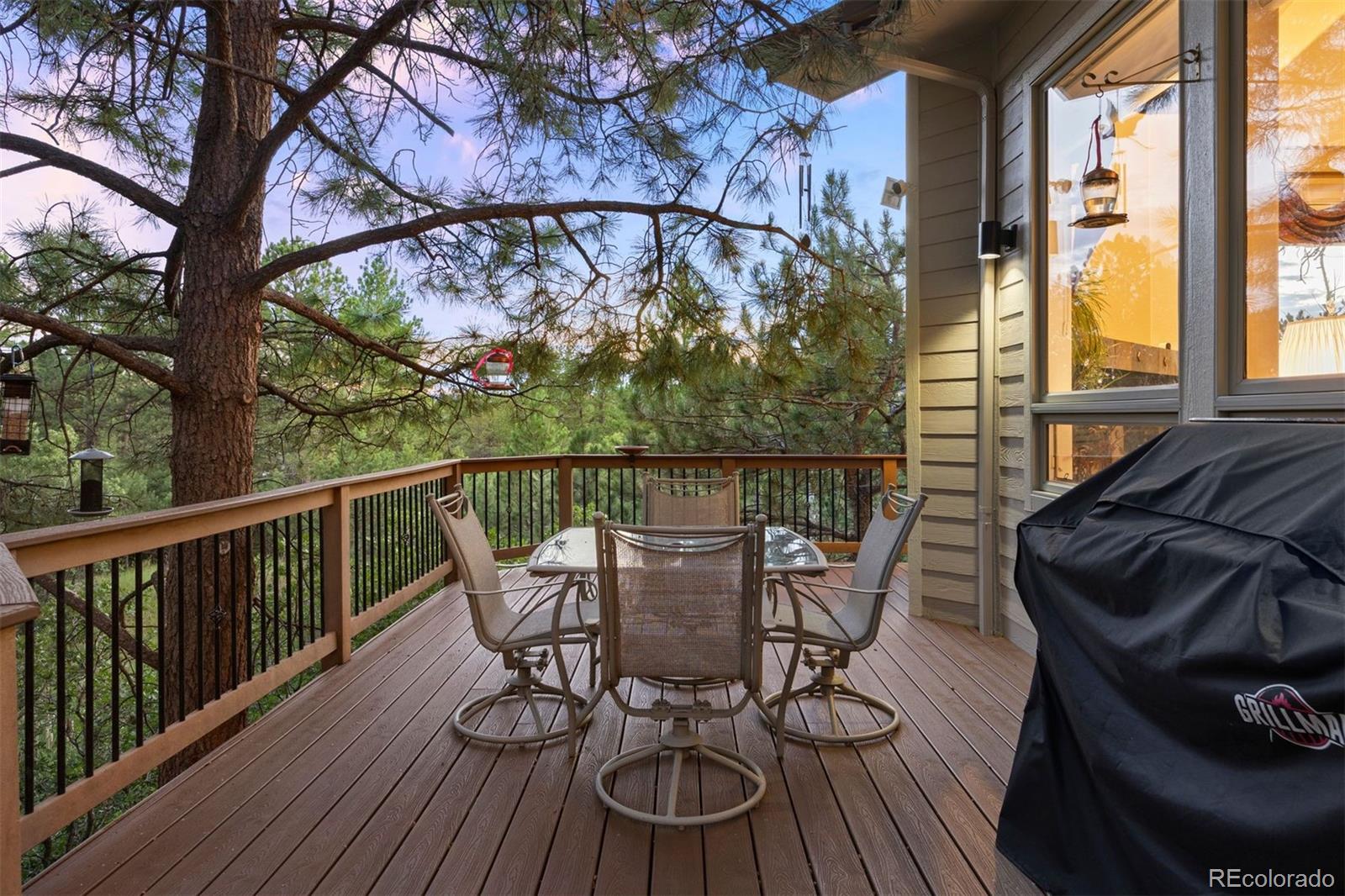 MLS Image #15 for 867  homestake court,castle rock, Colorado