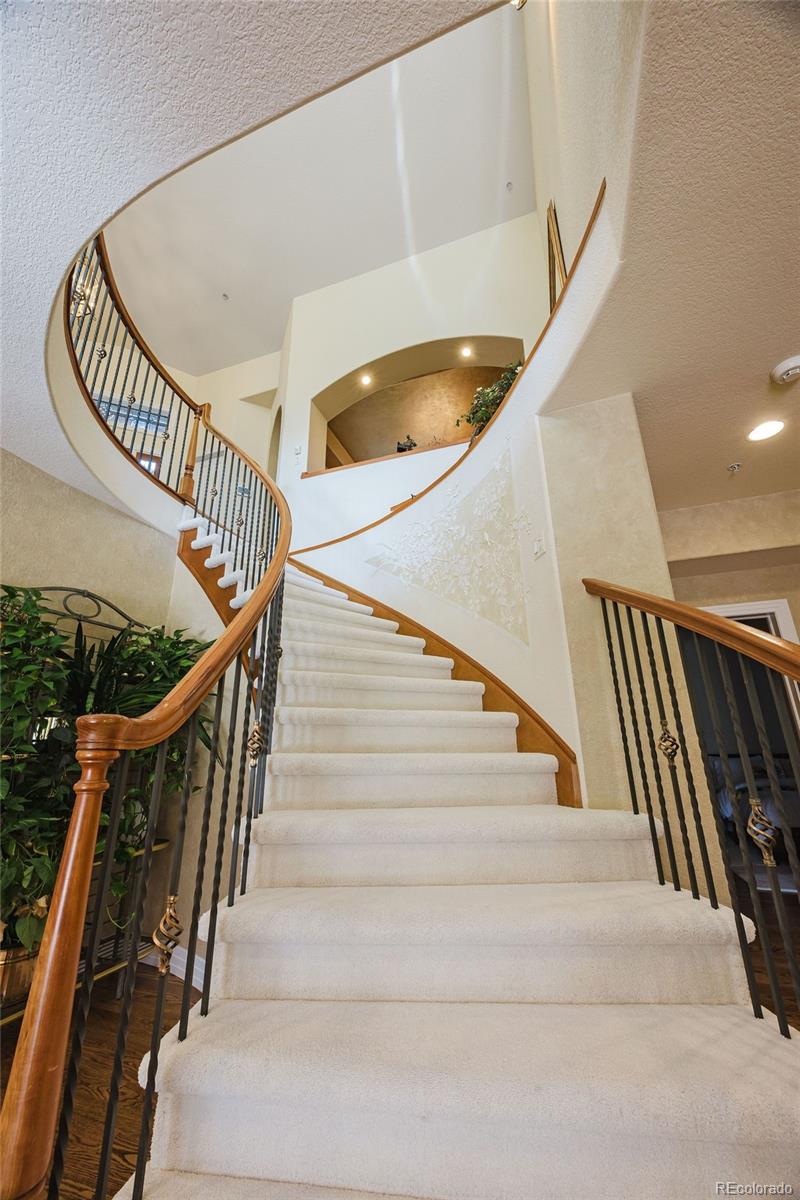 MLS Image #32 for 867  homestake court,castle rock, Colorado