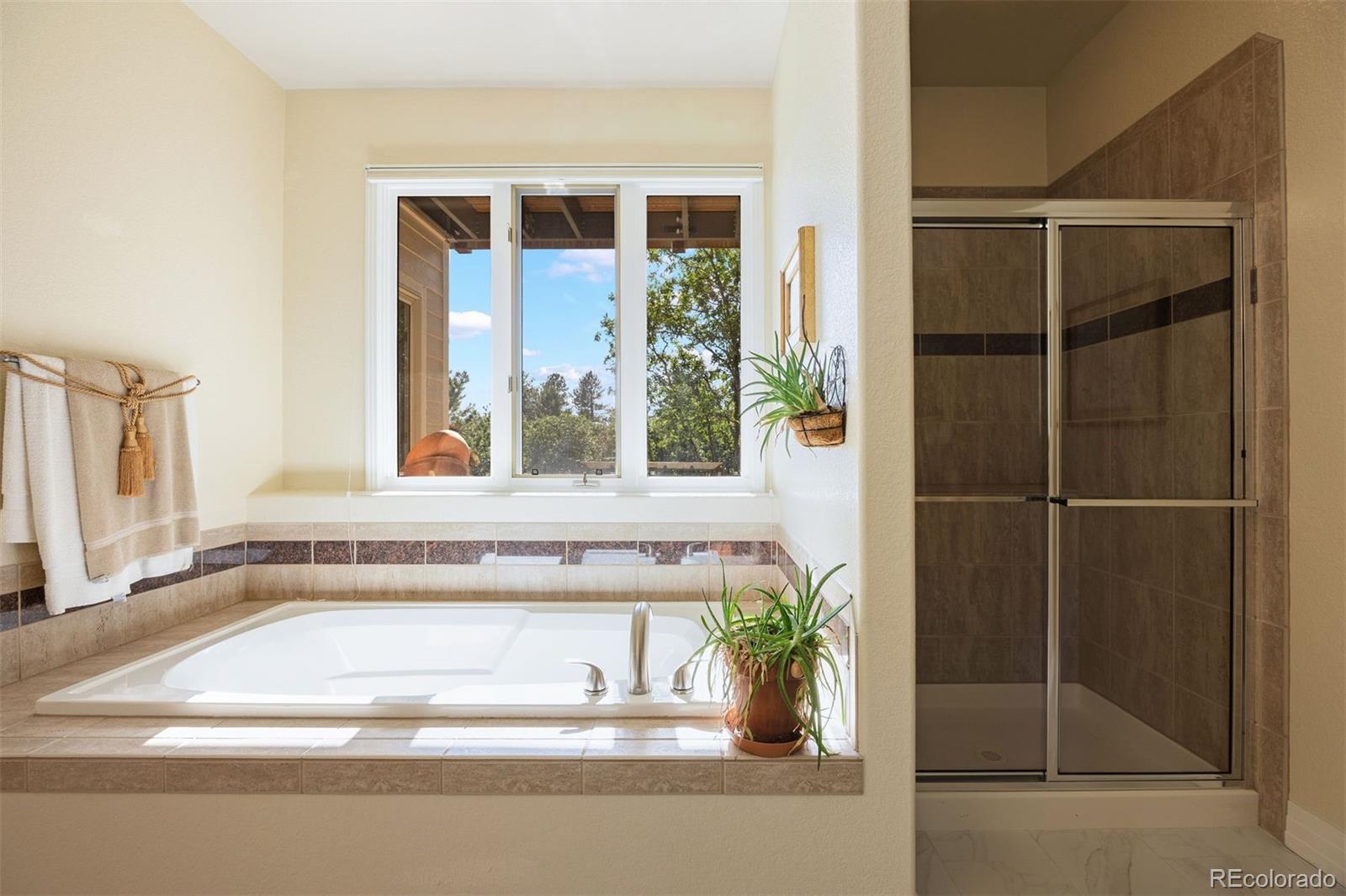 MLS Image #41 for 867  homestake court,castle rock, Colorado