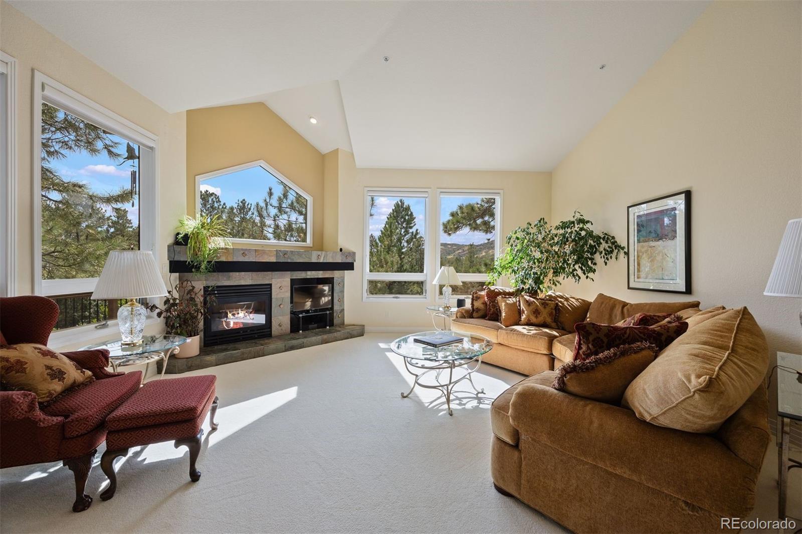 MLS Image #5 for 867  homestake court,castle rock, Colorado