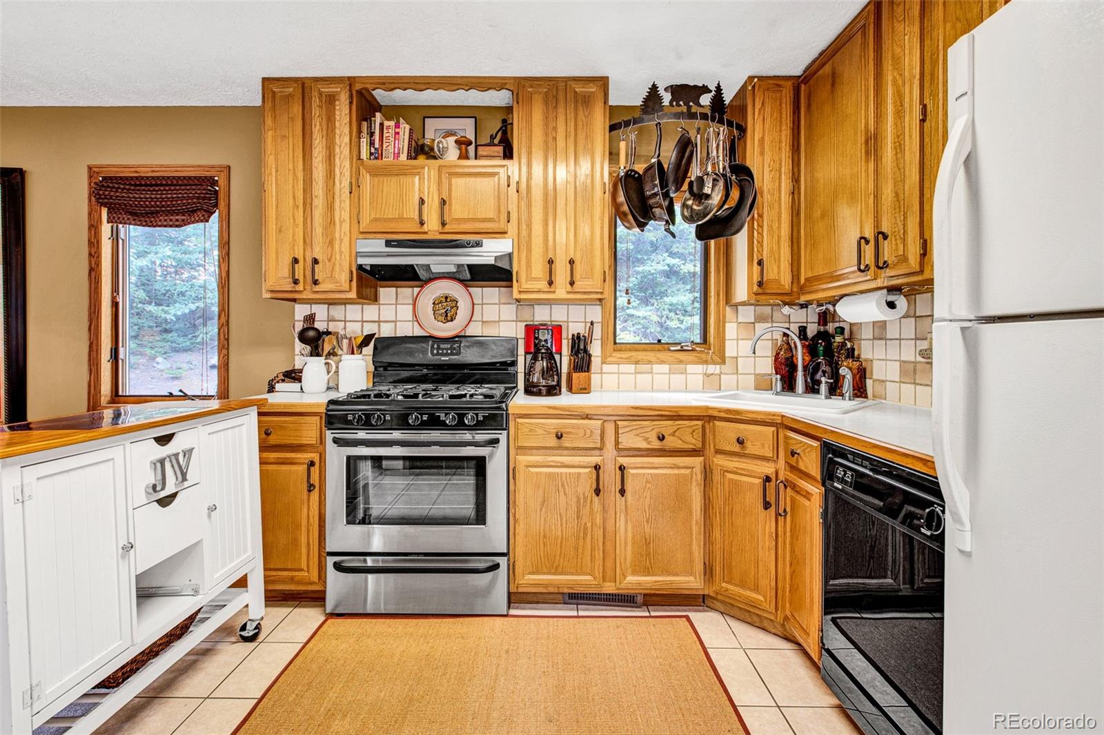 MLS Image #10 for 389  peterson drive,alma, Colorado