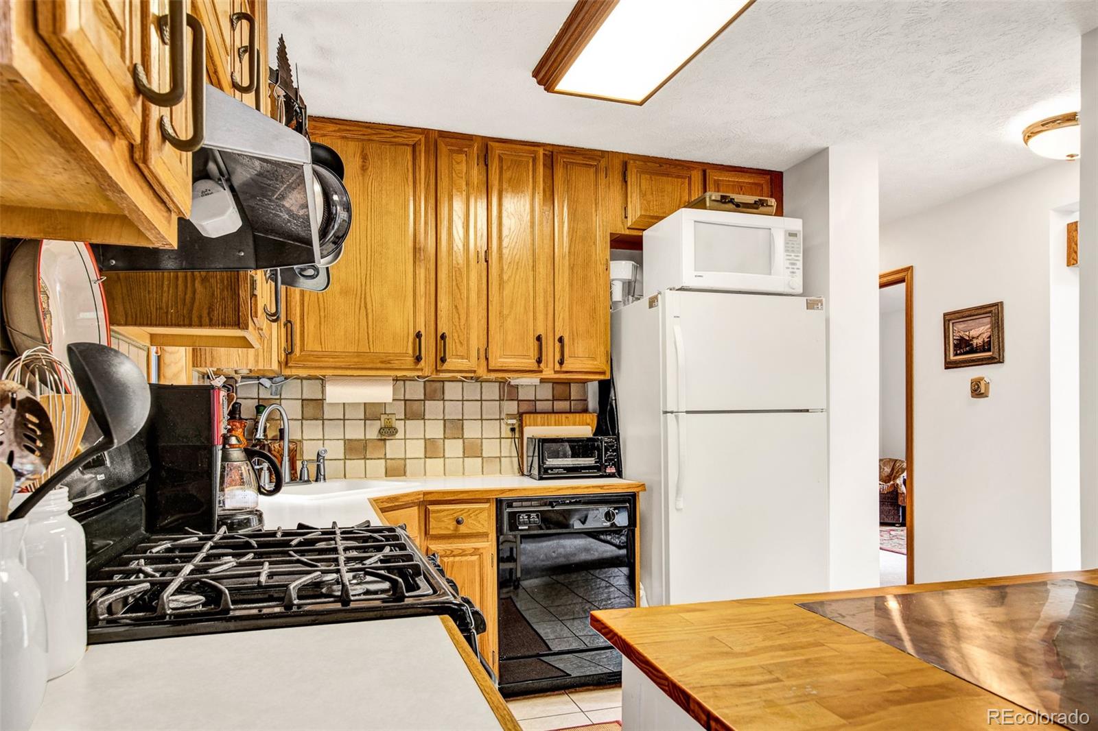 MLS Image #11 for 389  peterson drive,alma, Colorado