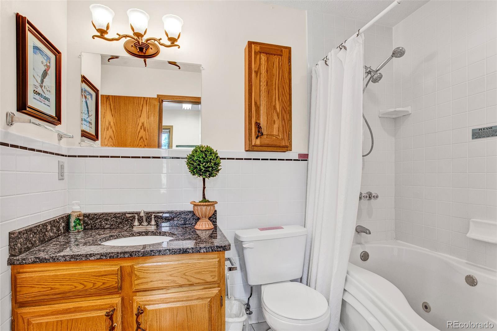 MLS Image #17 for 389  peterson drive,alma, Colorado