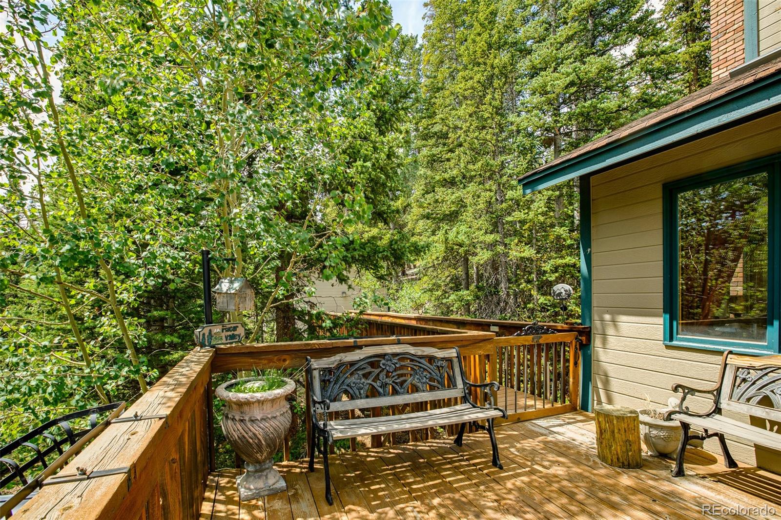 MLS Image #19 for 389  peterson drive,alma, Colorado