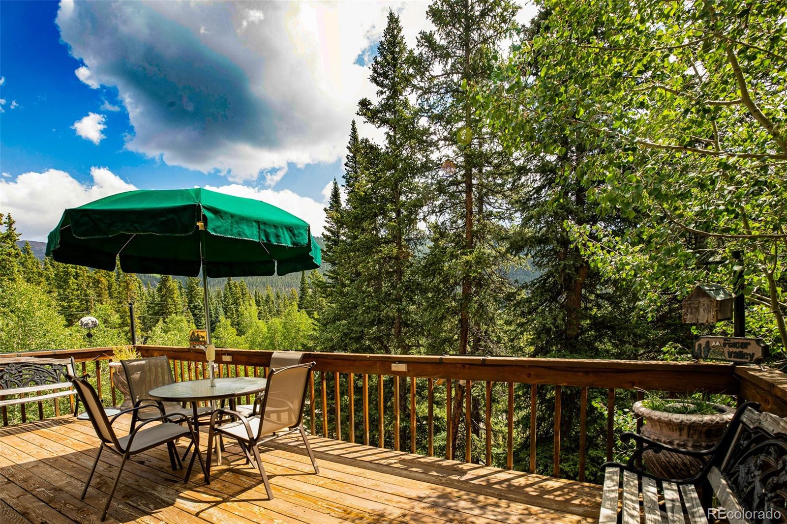 MLS Image #2 for 389  peterson drive,alma, Colorado