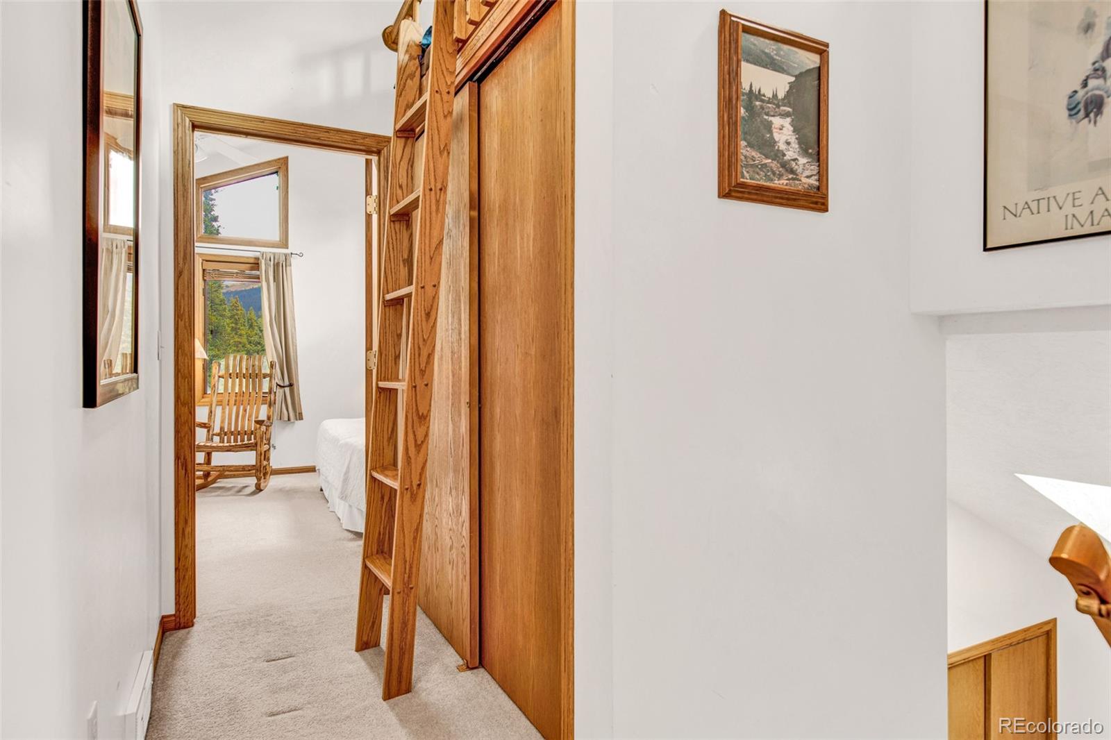 MLS Image #28 for 389  peterson drive,alma, Colorado