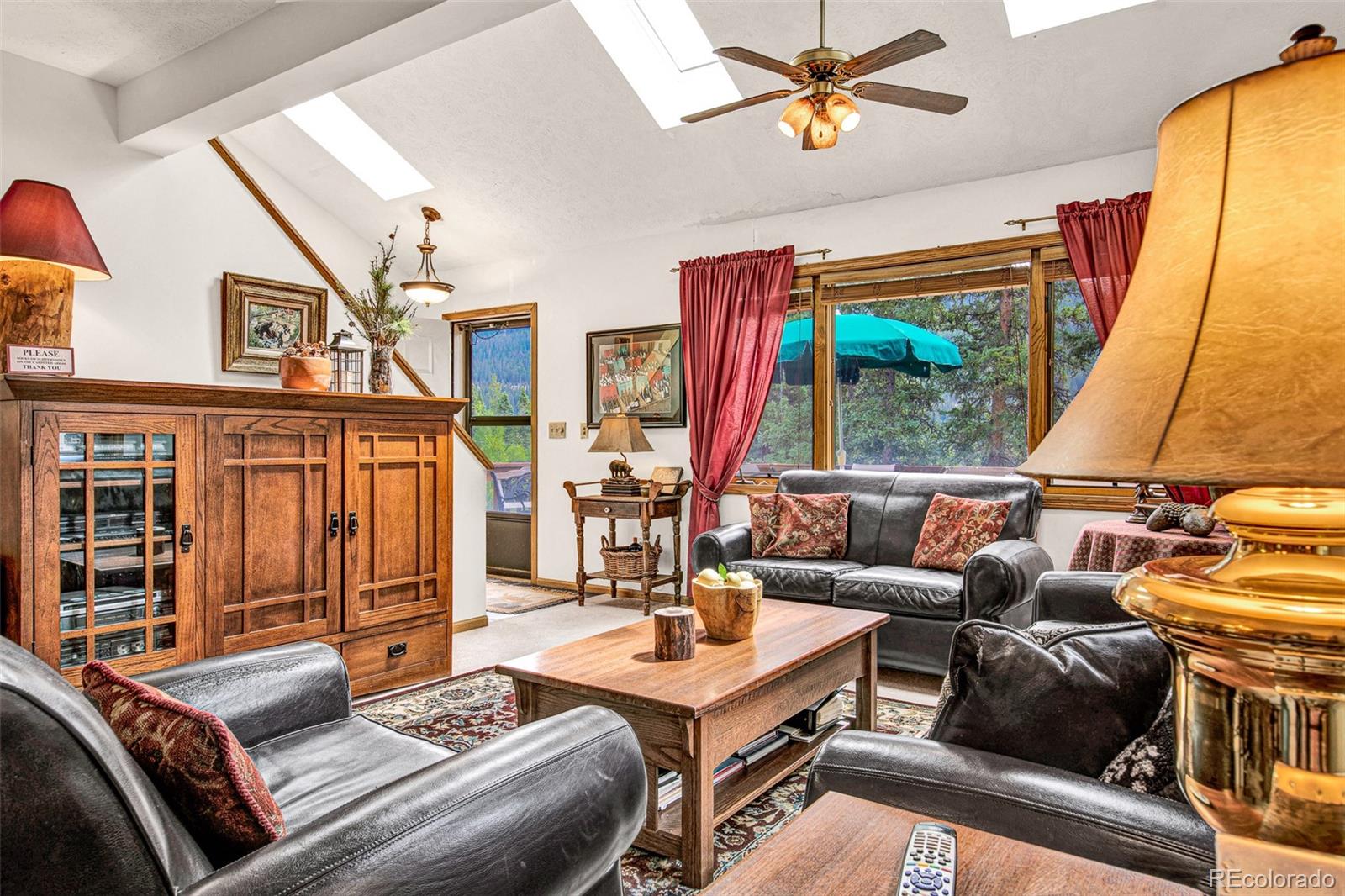 MLS Image #3 for 389  peterson drive,alma, Colorado