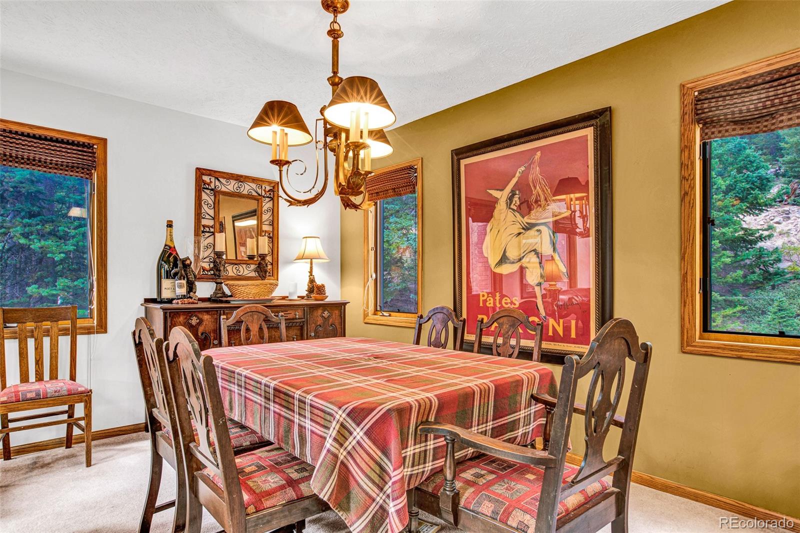 MLS Image #8 for 389  peterson drive,alma, Colorado